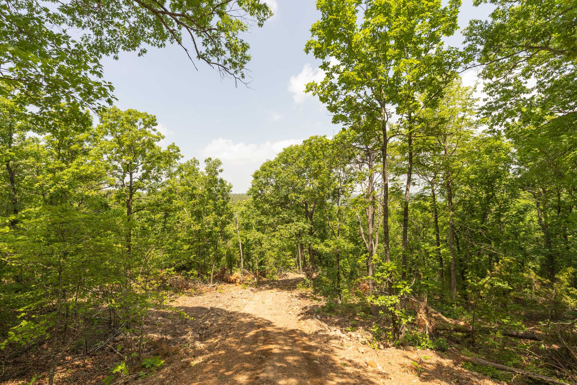 Stone Bridge Reserve Tract 32 photo 9