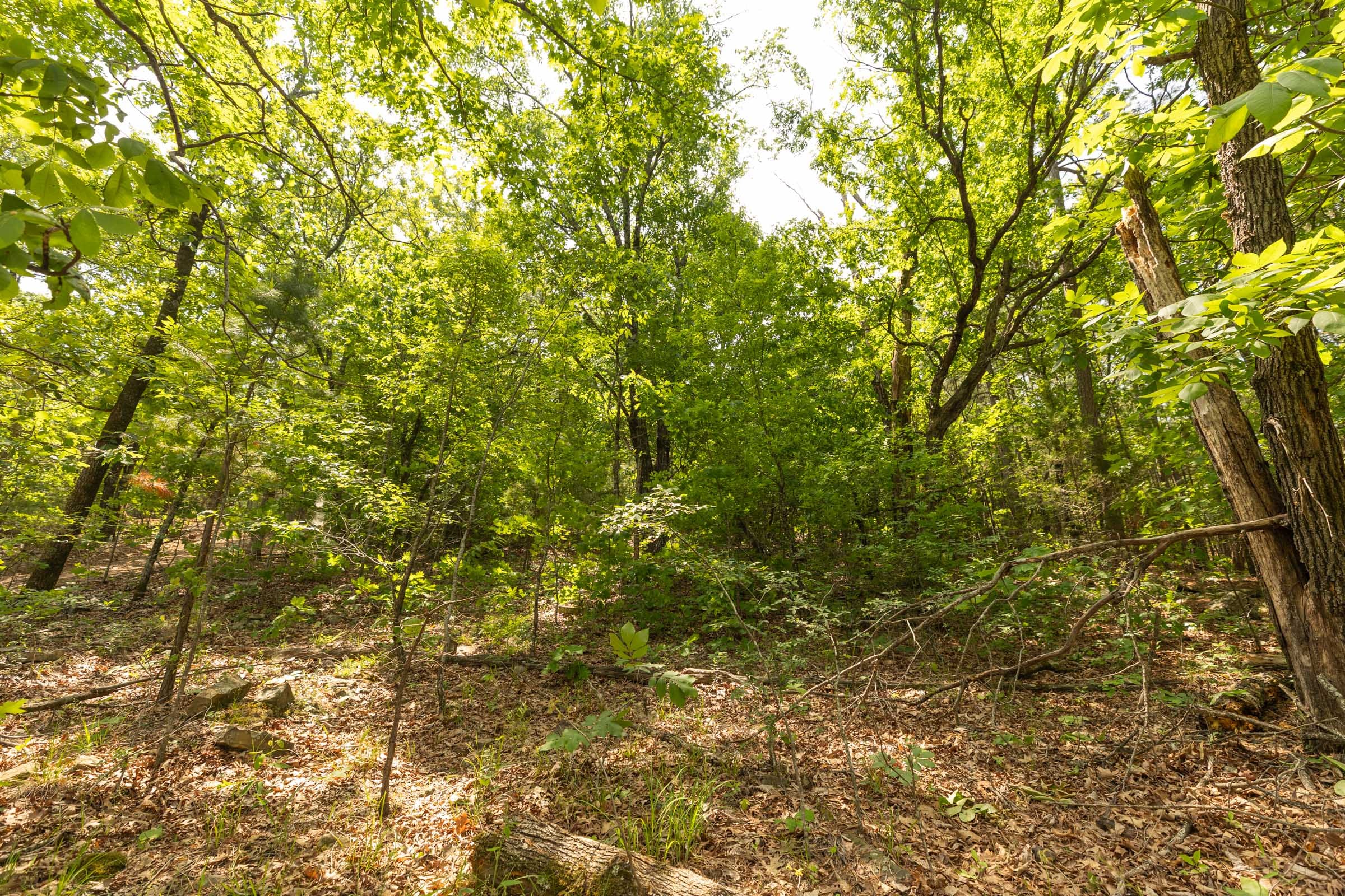 Stone Bridge Reserve Tract 32 photo 10