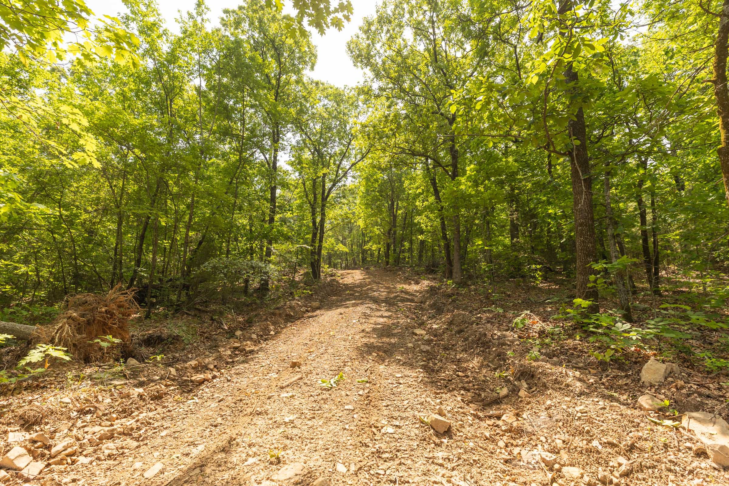 Stone Bridge Reserve Tract 32 photo 2