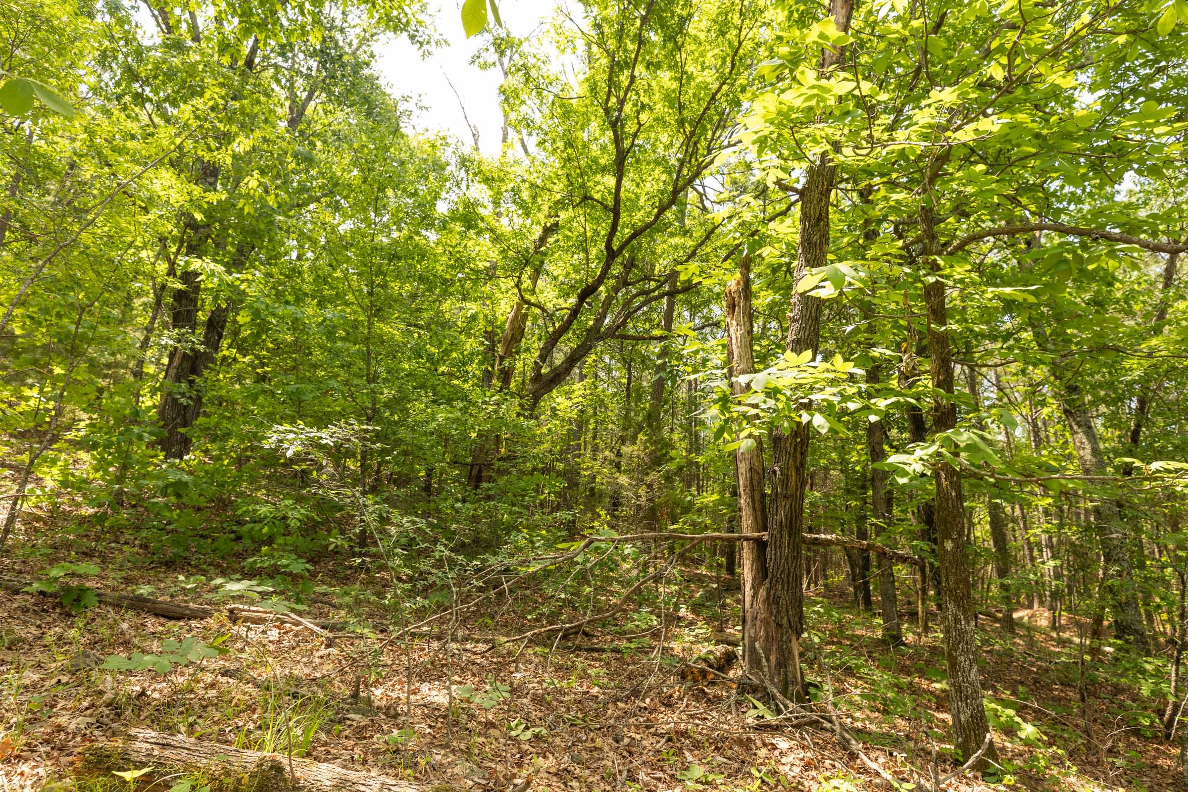 Stone Bridge Reserve Tract 32 photo 3