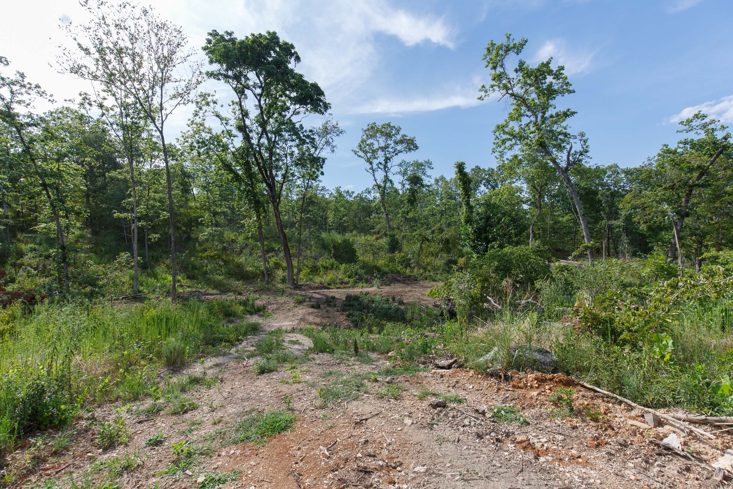 Wildwood Tract 30 photo 7