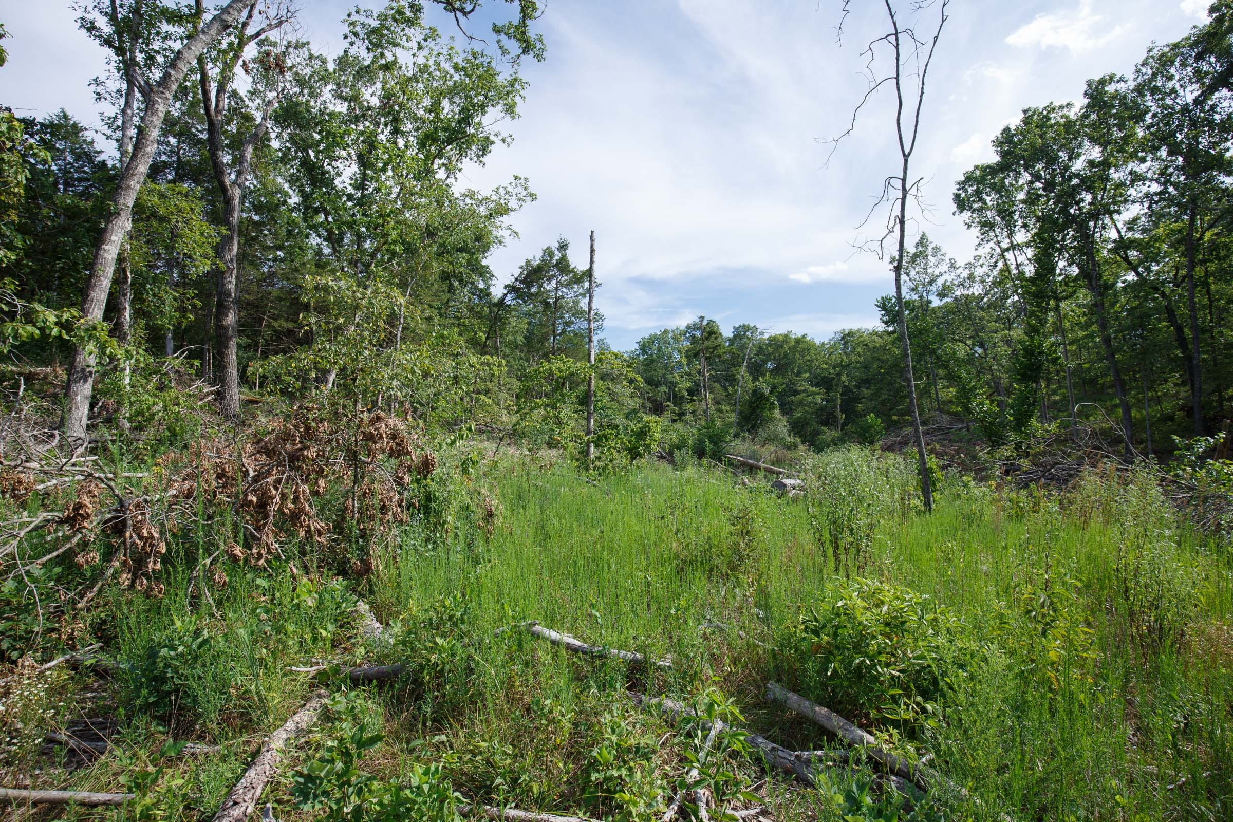 Wildwood Tract 30 photo 2