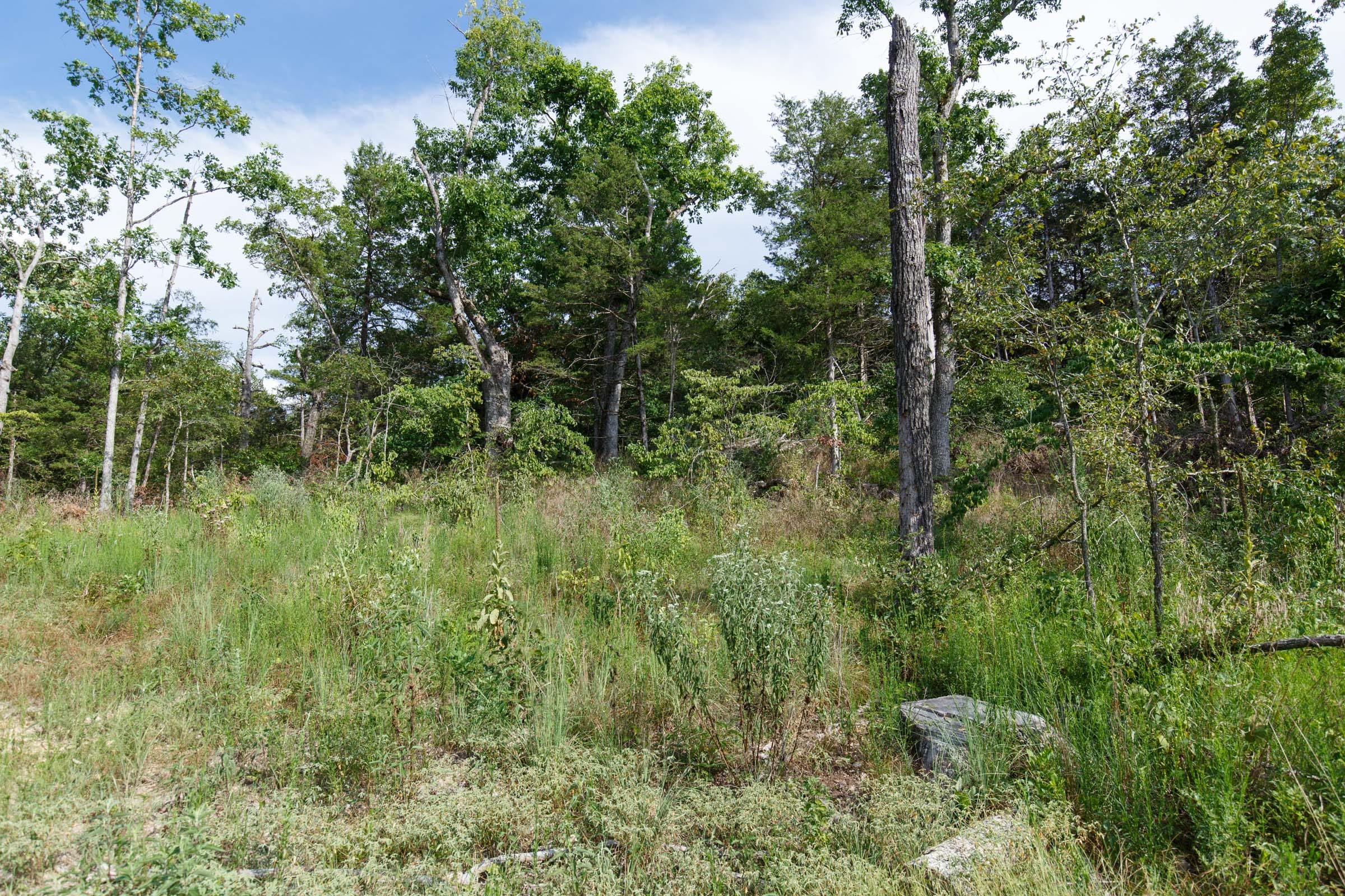 Wildwood Tract 30 photo 5