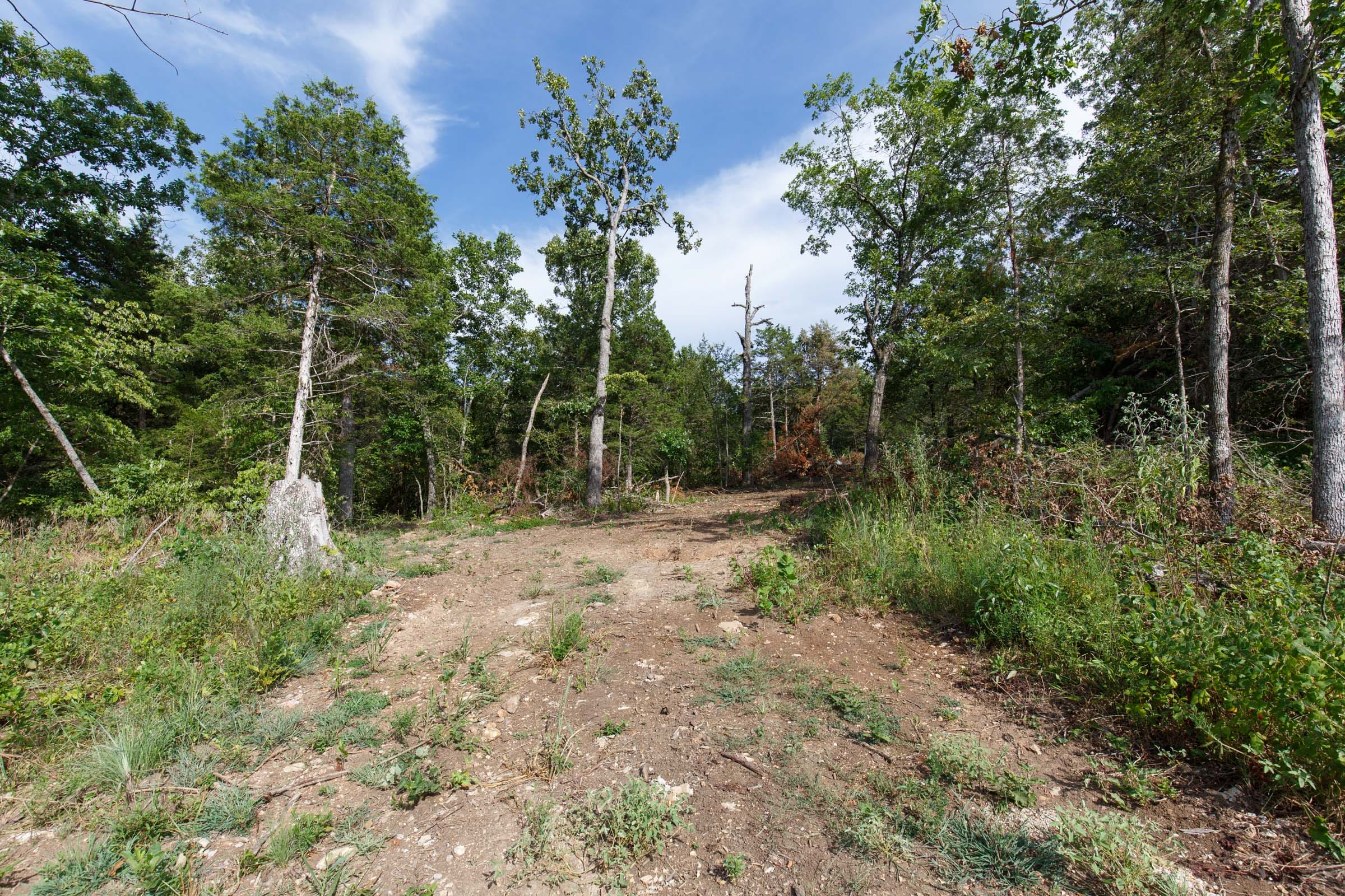Wildwood Tract 30 photo 4