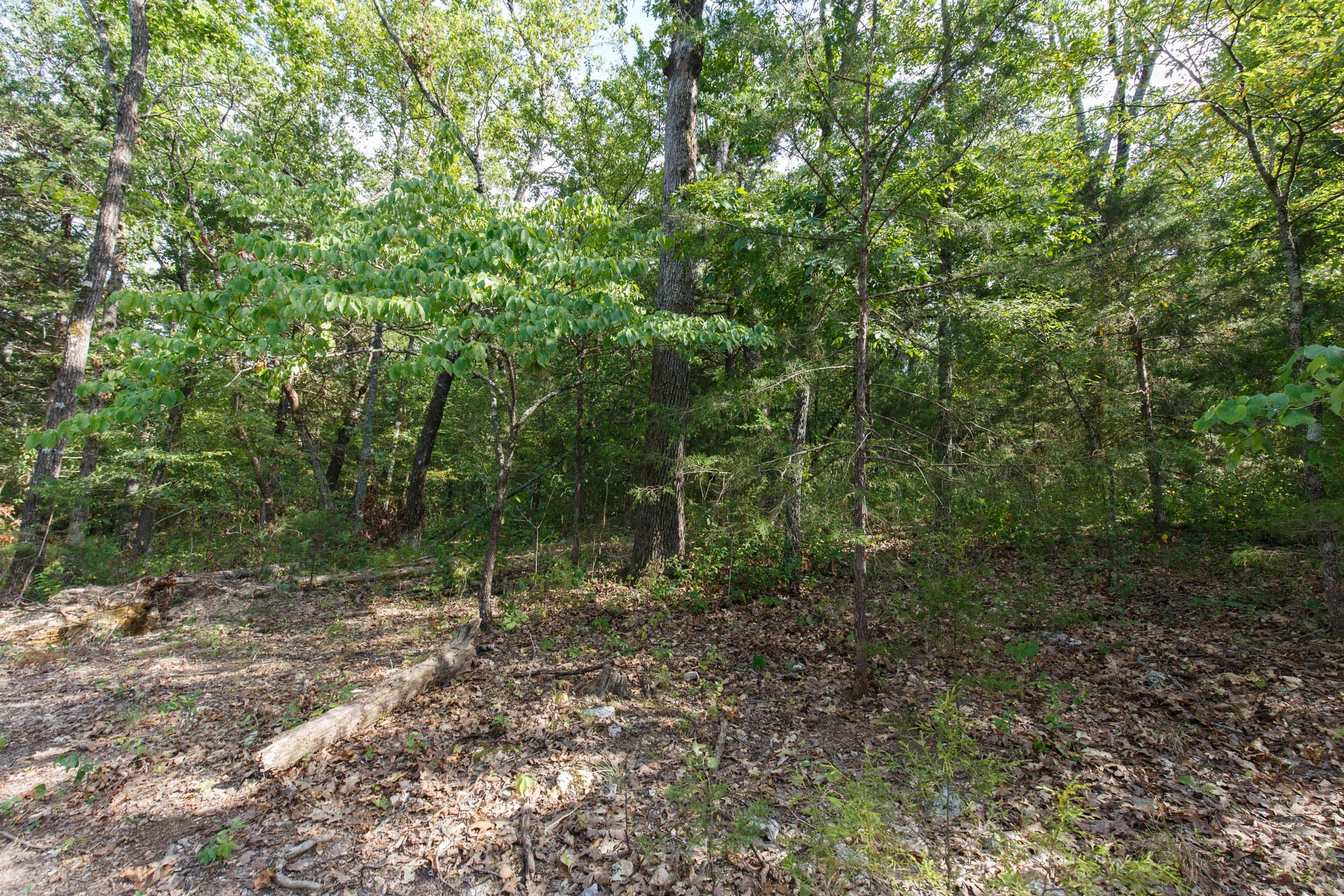 Wildwood Tract 30 photo 6