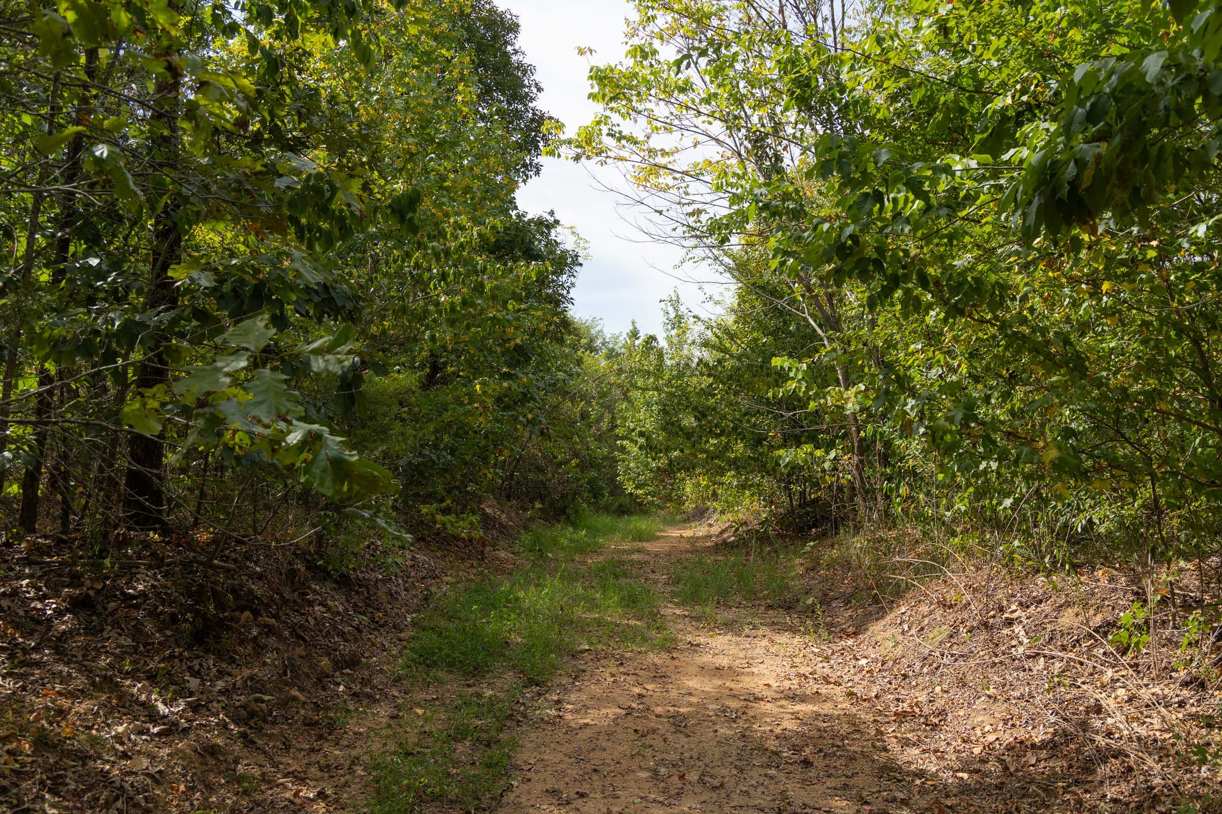 Big White Oak Tract 147 photo 2