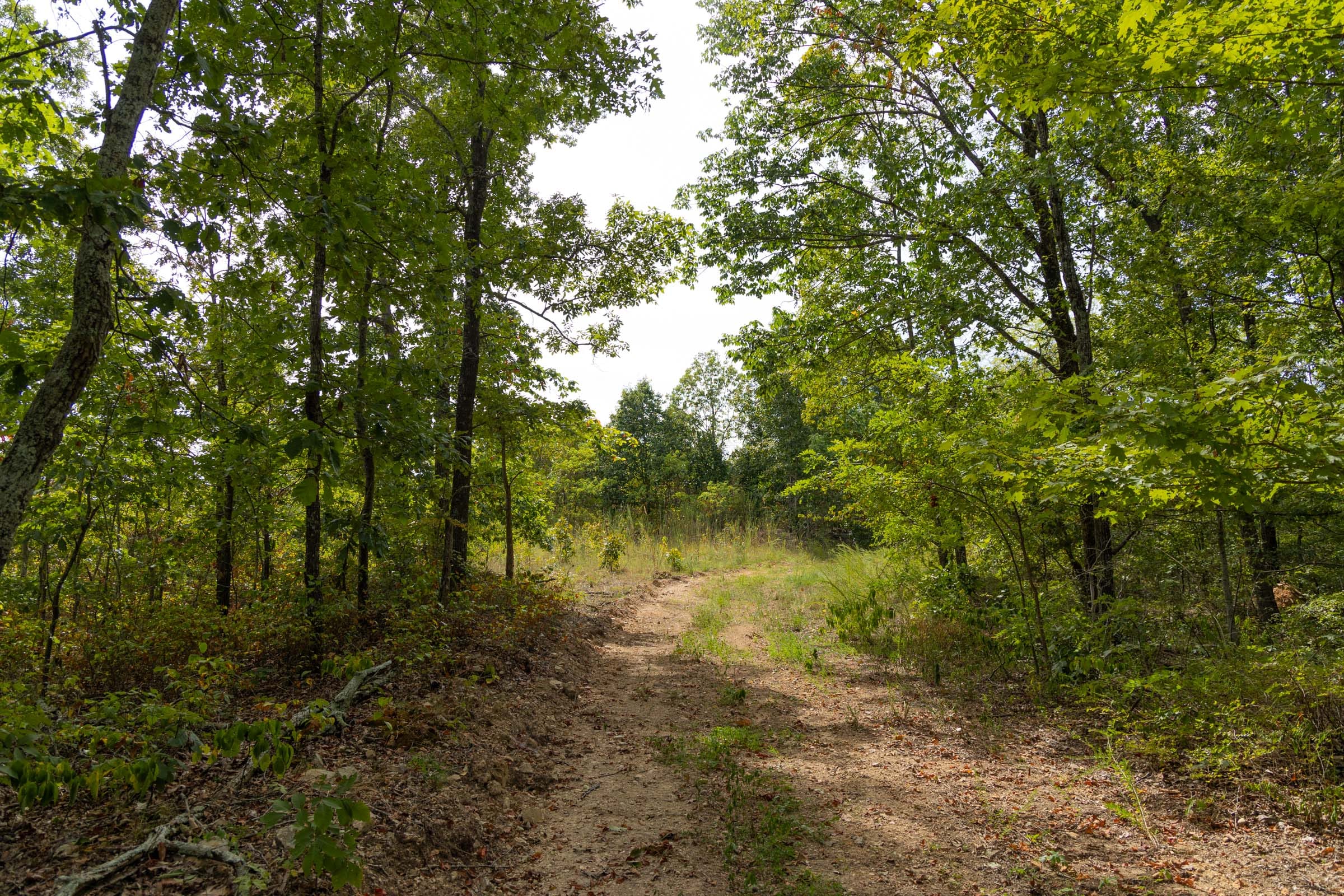 Big White Oak Tract 147 photo 1