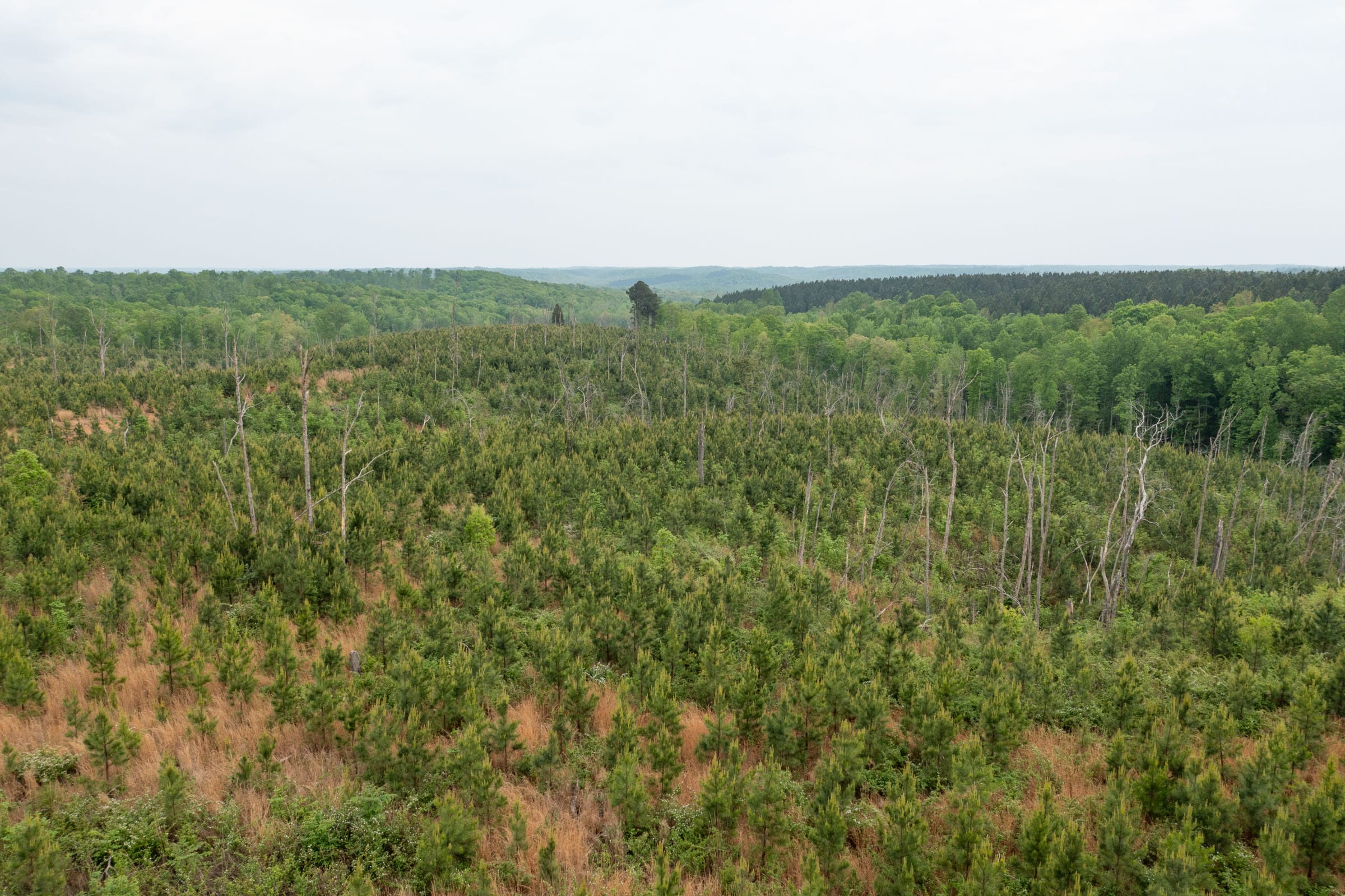 Red Barn Ranch Tract 33 photo 4