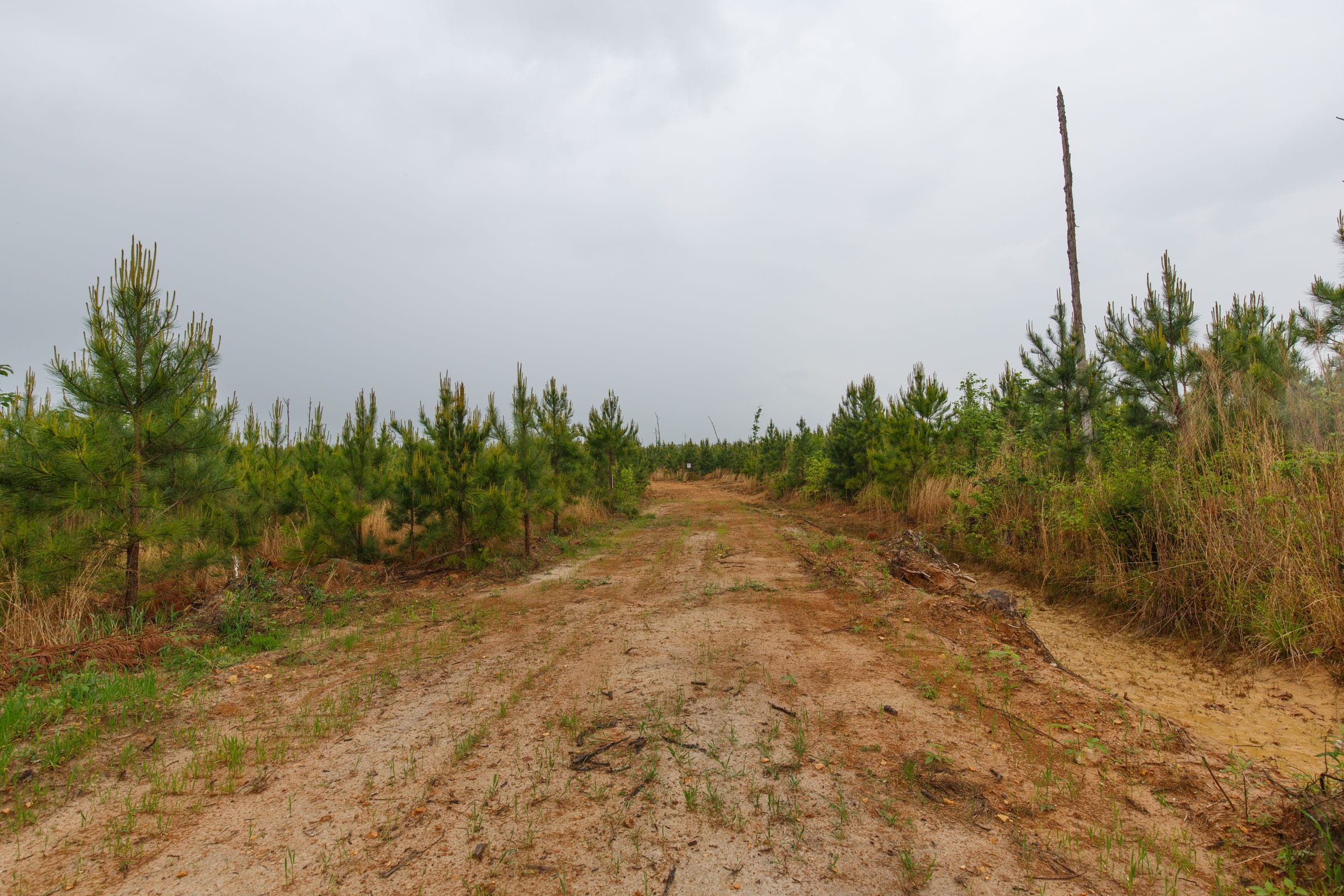 Red Barn Ranch Tract 33 photo 1