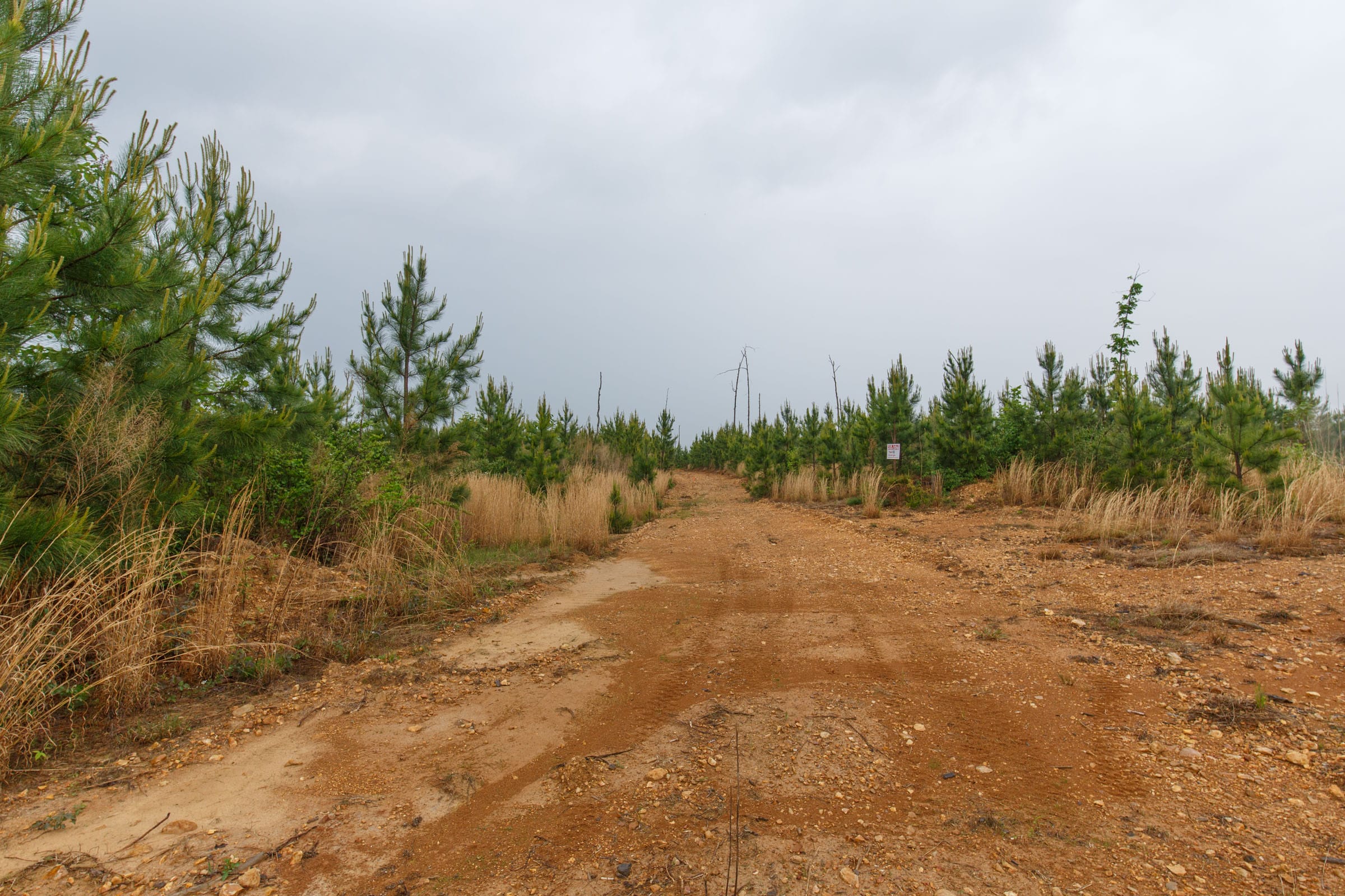 Red Barn Ranch Tract 33 photo 5