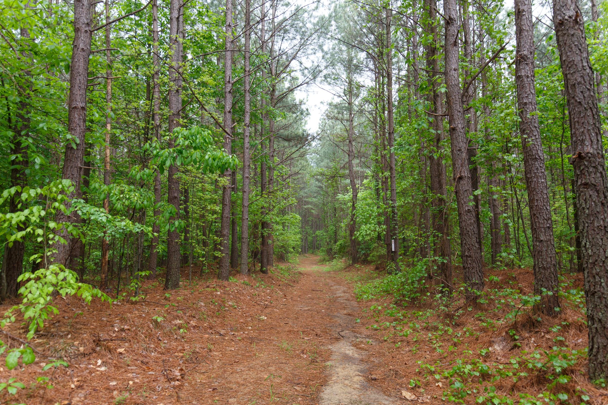Red Barn Ranch Tract 33 photo 9