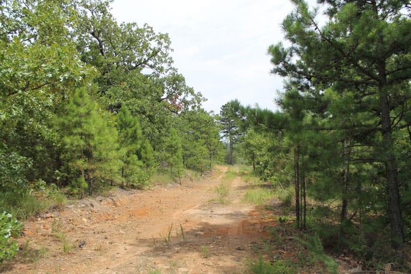 Trophy Ridge Phase III Tract 35 photo 1