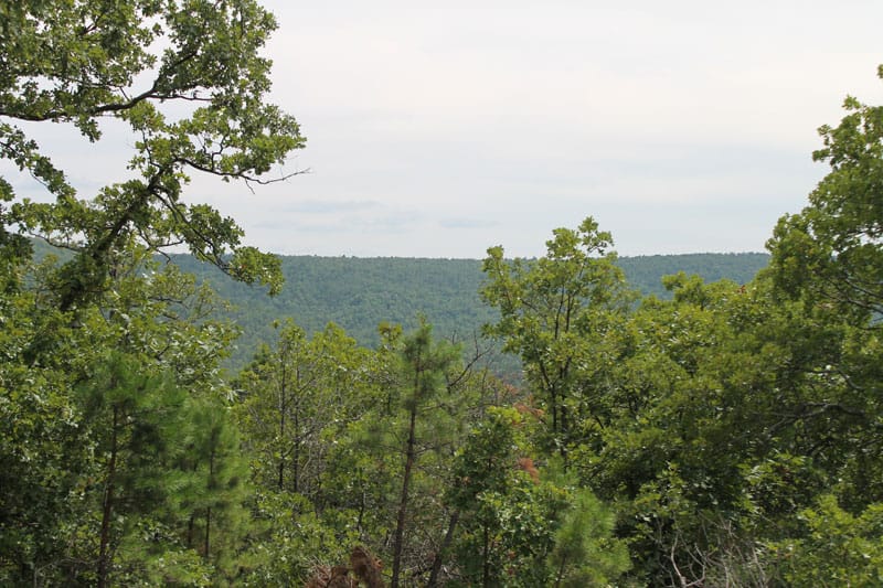 Trophy Ridge Phase III Tract 35 photo 5