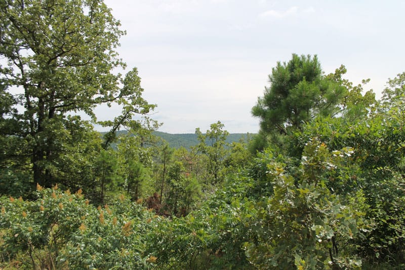 Trophy Ridge Phase III Tract 35 photo 7