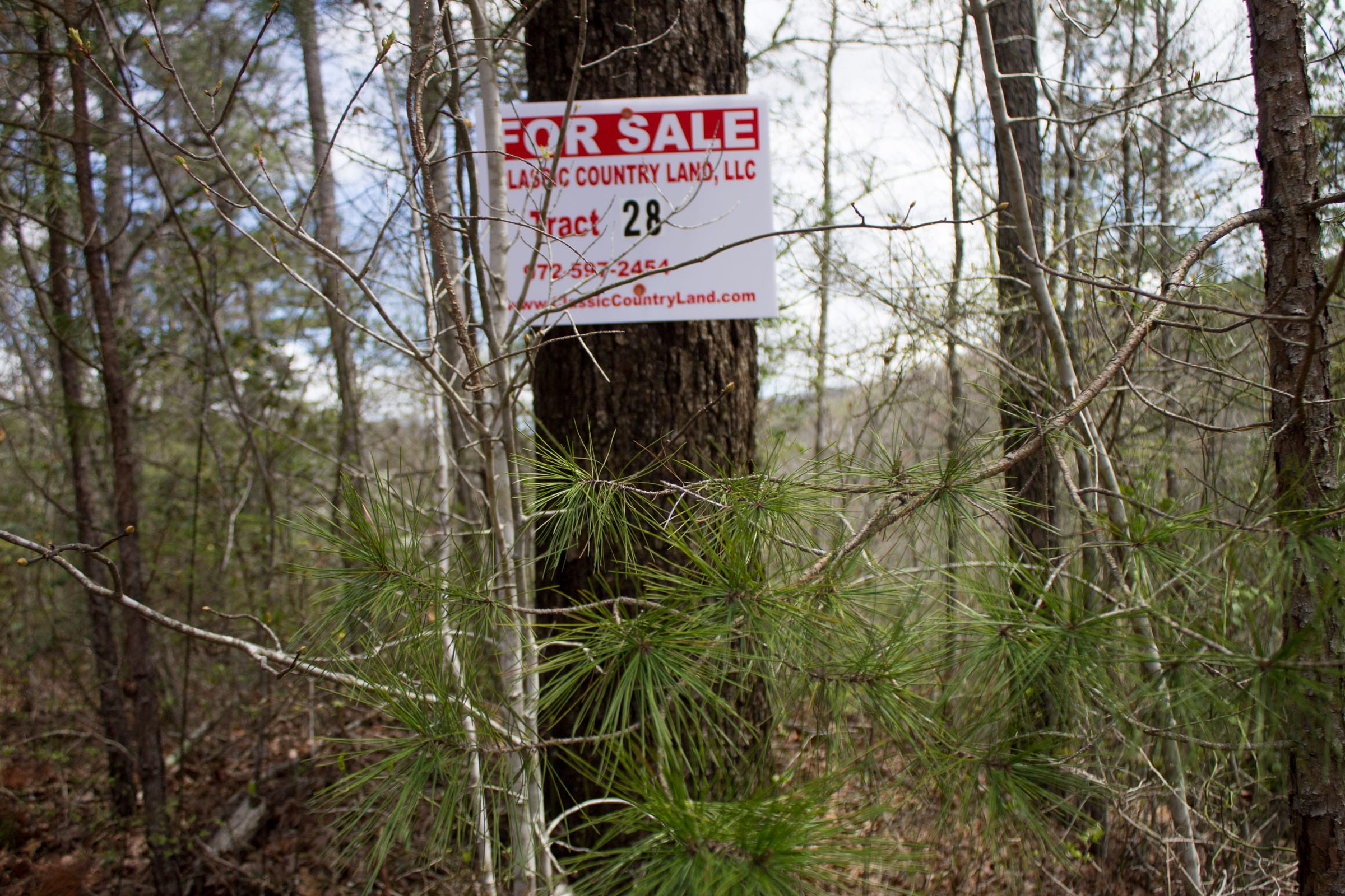 Hidden Hills Tract 28 photo 1