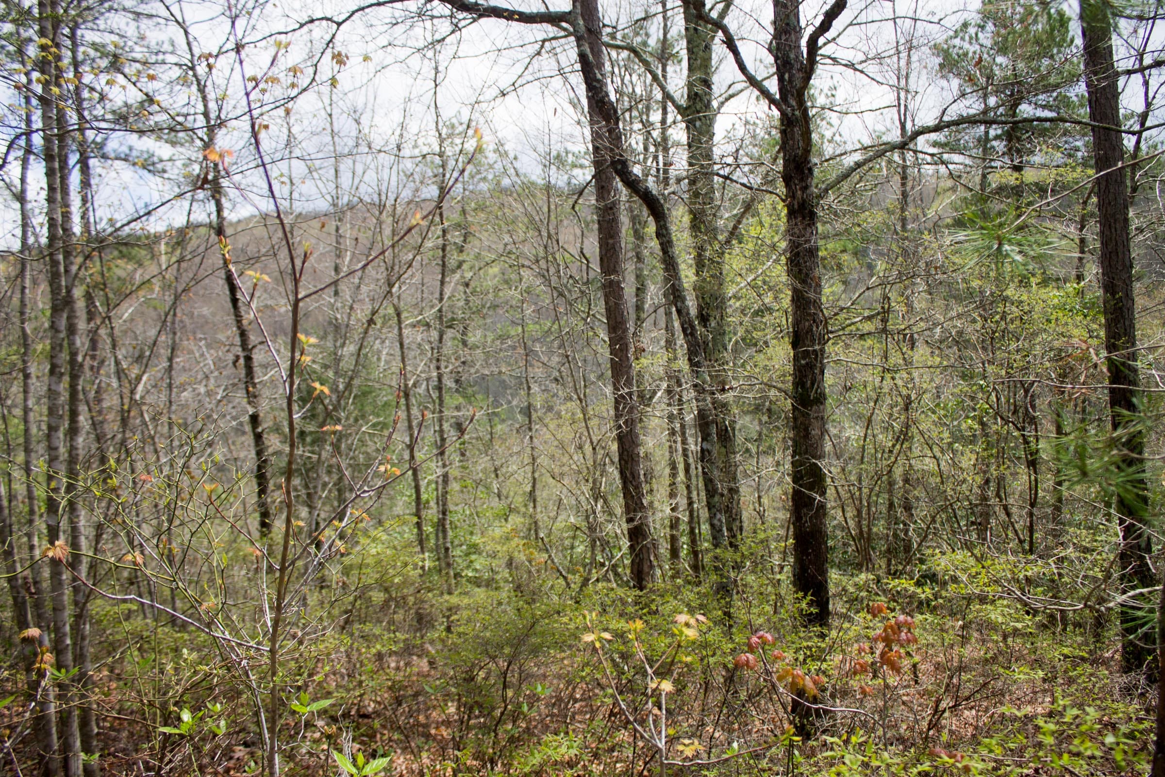 Hidden Hills Tract 28 photo 3