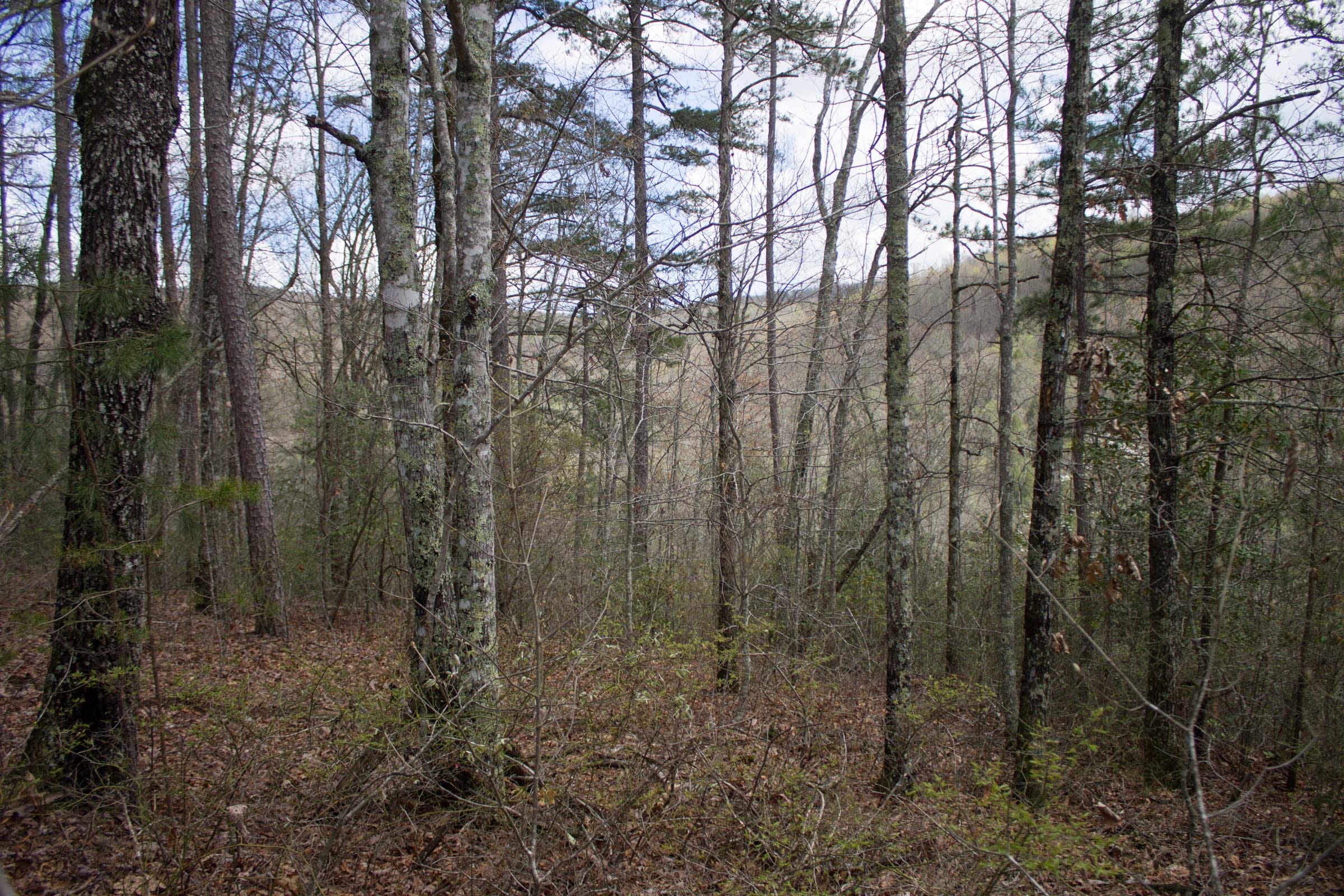 Hidden Hills Tract 28 photo 4