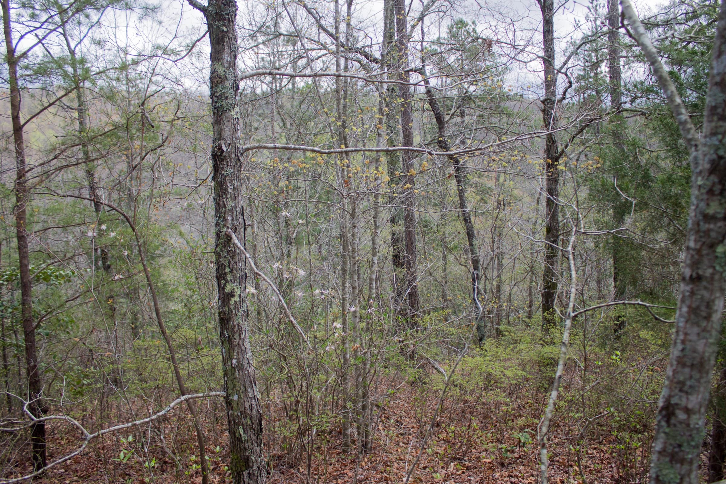 Hidden Hills Tract 28 photo 5