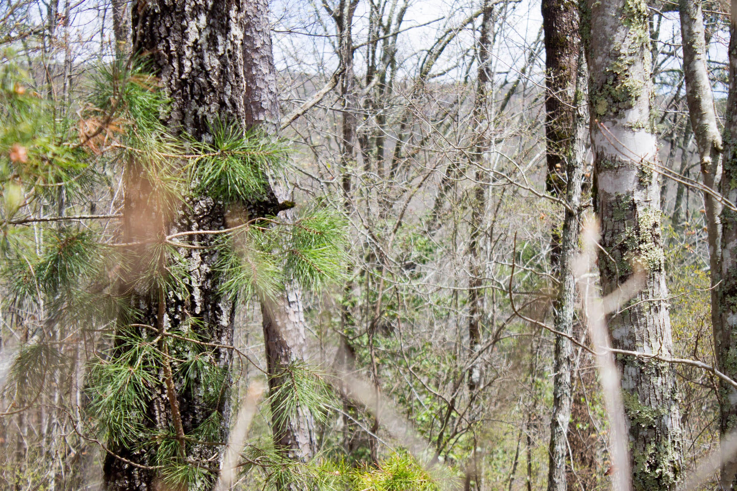Hidden Hills Tract 28 photo 6