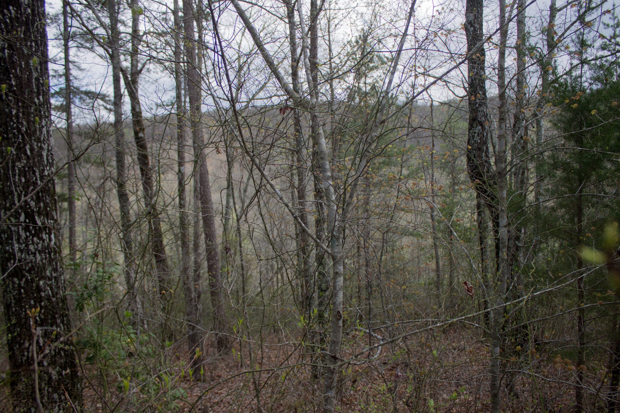 Hidden Hills Tract 28 photo 7