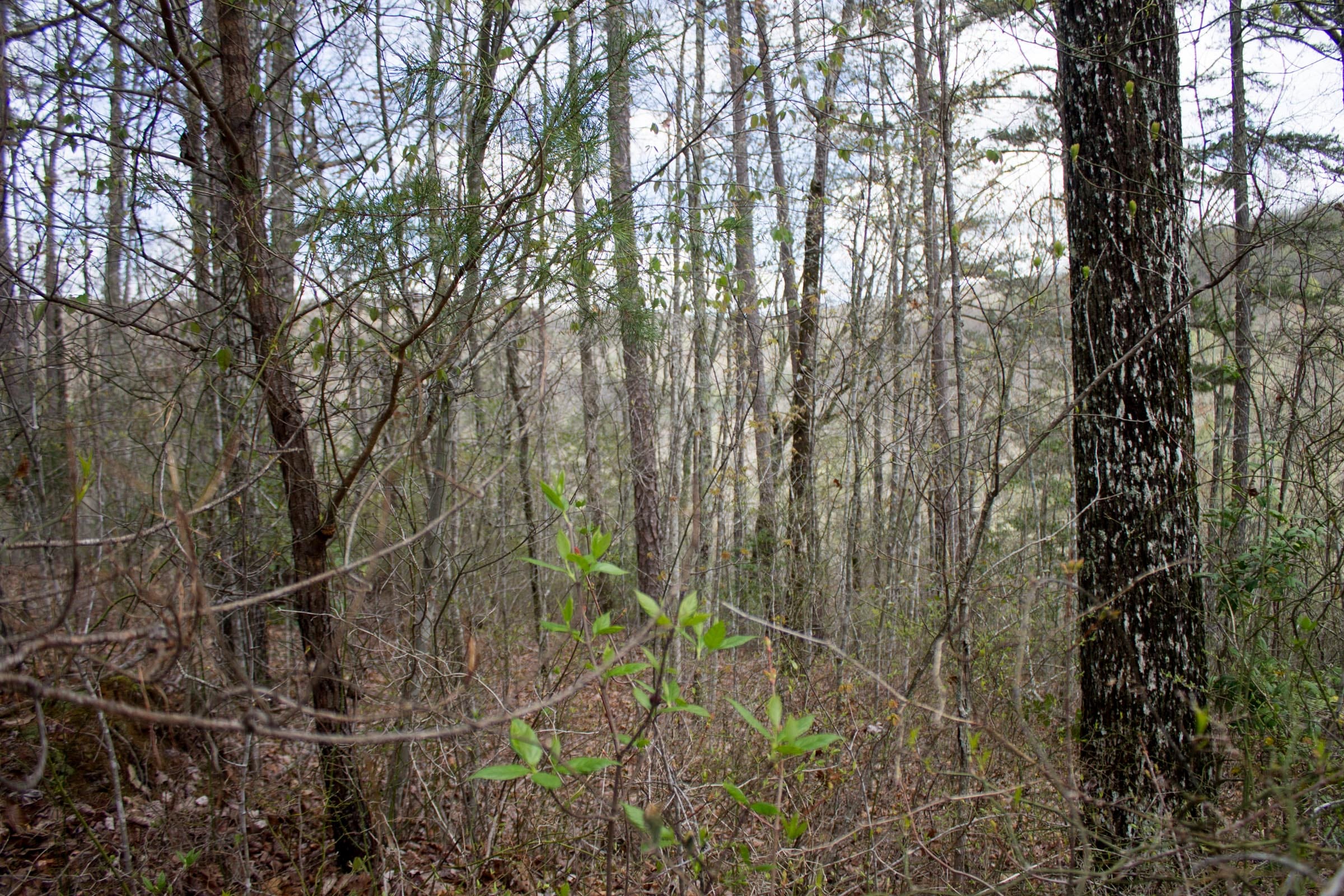 Hidden Hills Tract 28 photo 8