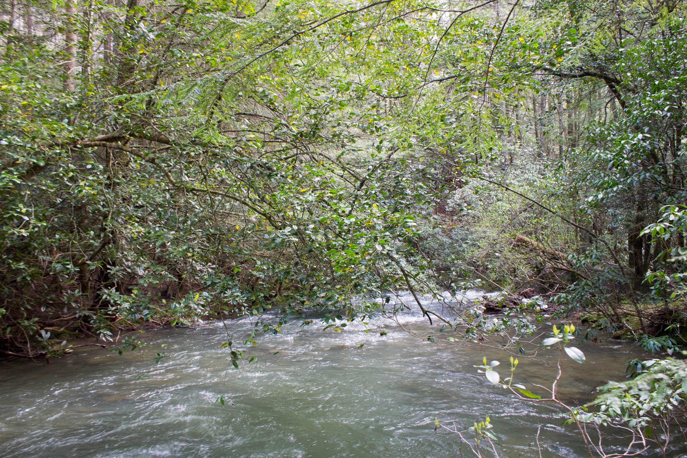 Hidden Hills Tract 28 photo 12