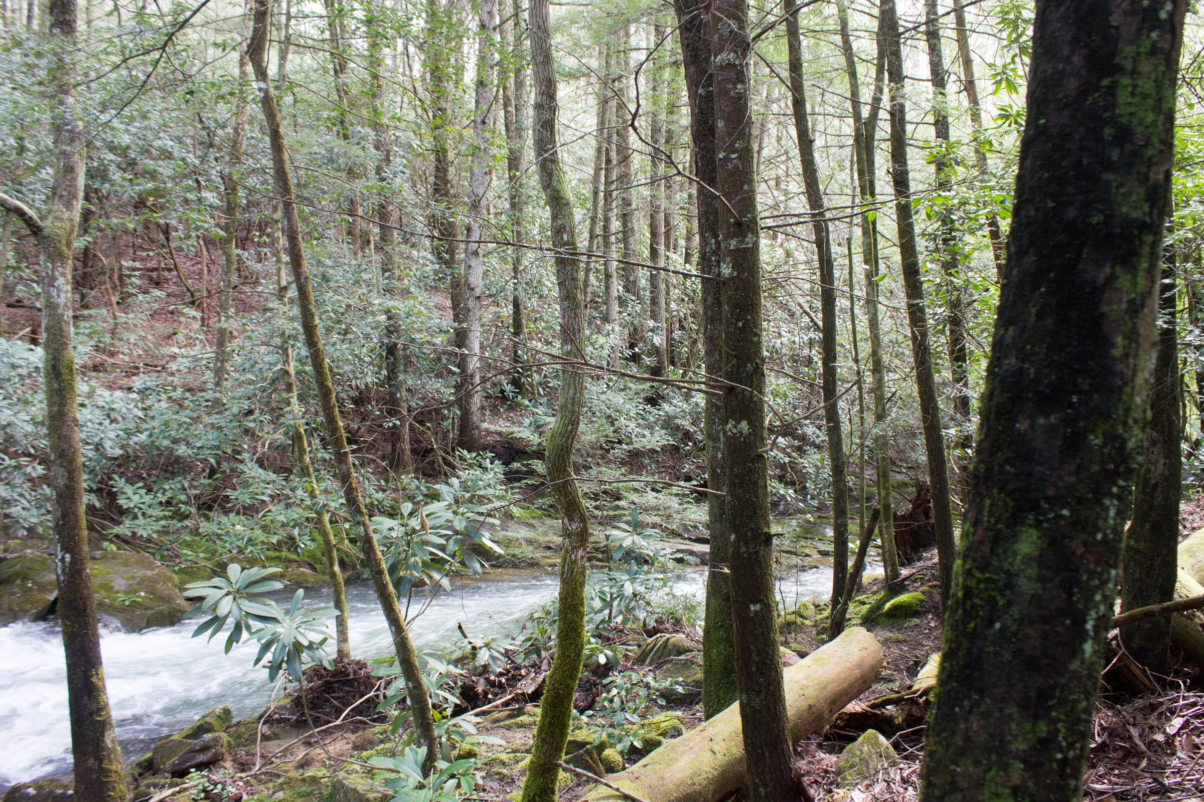 Hidden Hills Tract 28 photo 15