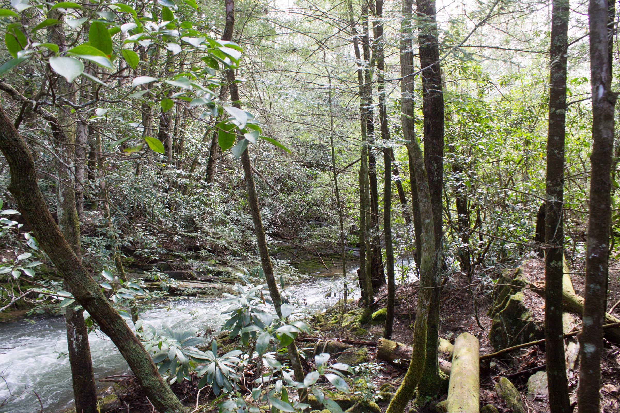 Hidden Hills Tract 28 photo 16