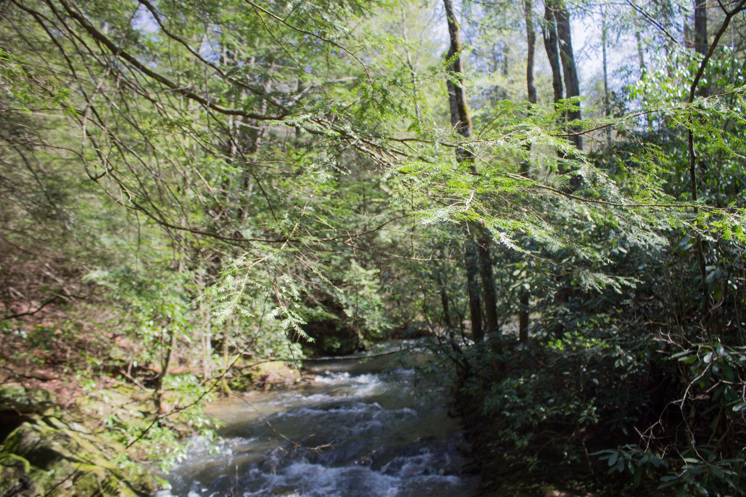 Hidden Hills Tract 28 photo 24
