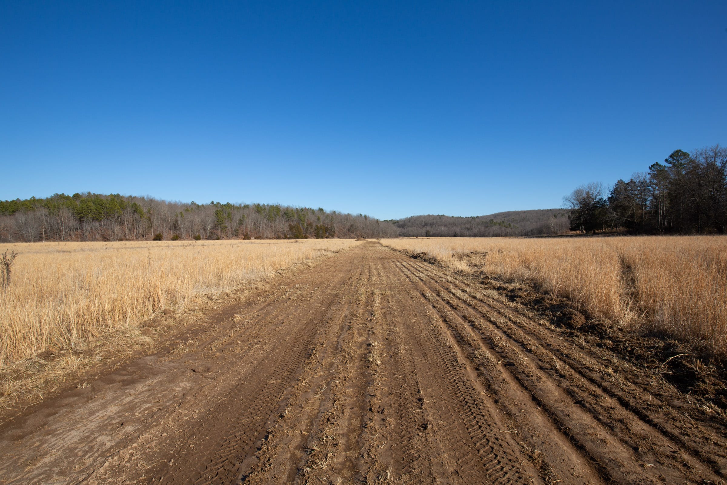 O’Connor Crossing Tract 3 photo 2