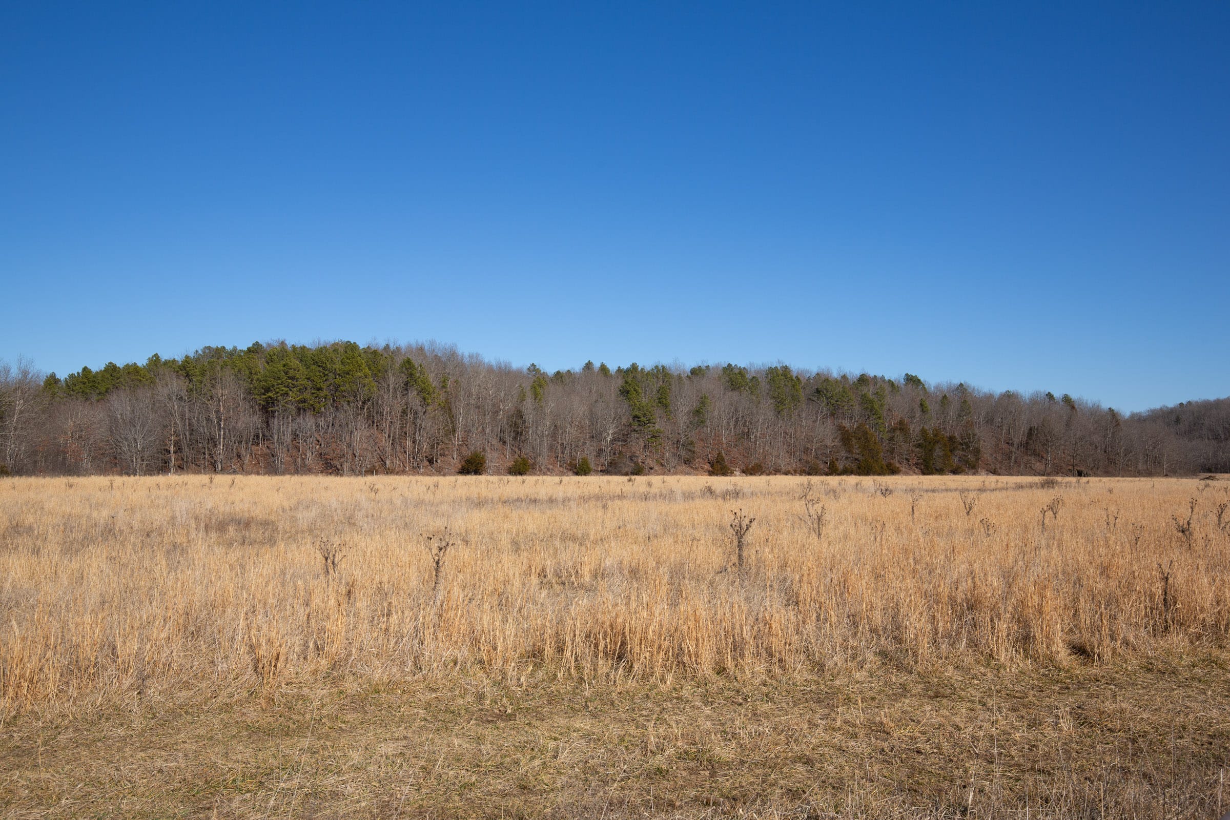 O’Connor Crossing Tract 3 photo 8