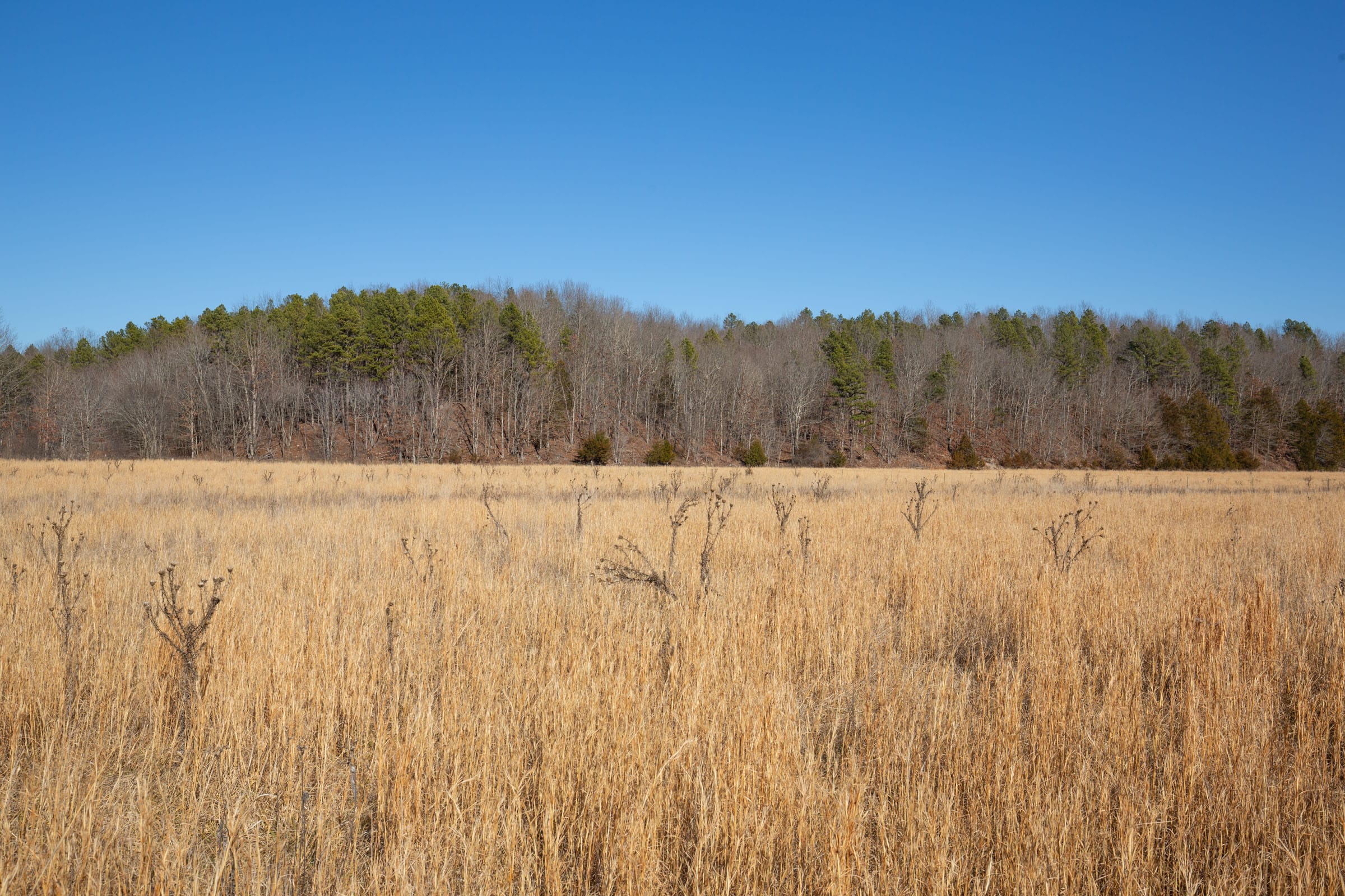 O’Connor Crossing Tract 3 photo 9