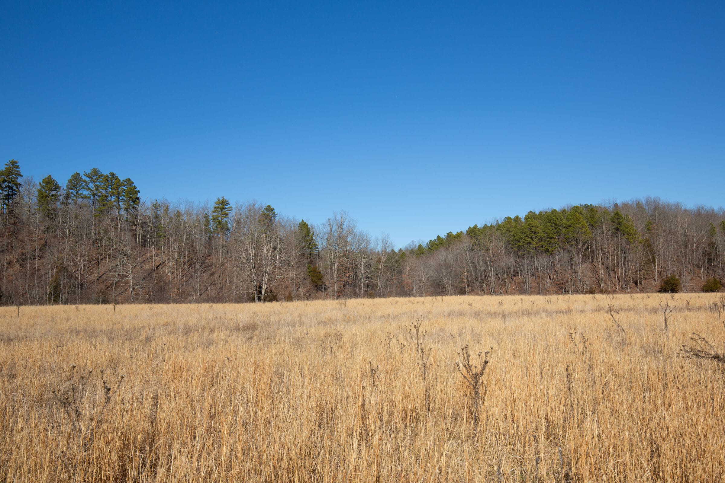 O’Connor Crossing Tract 3 photo 11