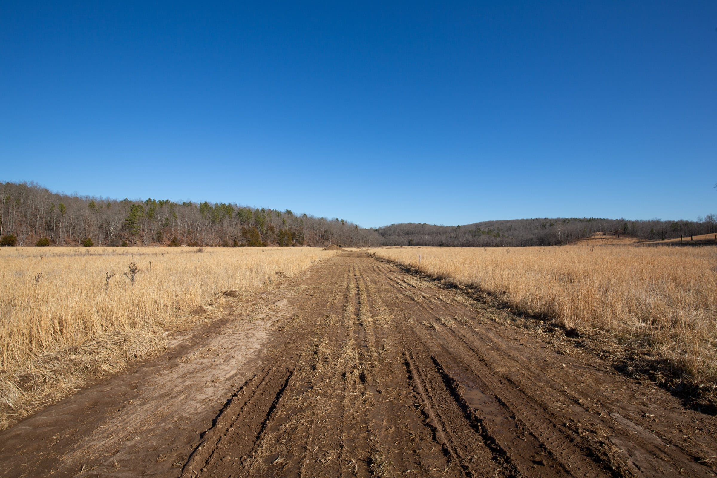 O’Connor Crossing Tract 3 photo 6