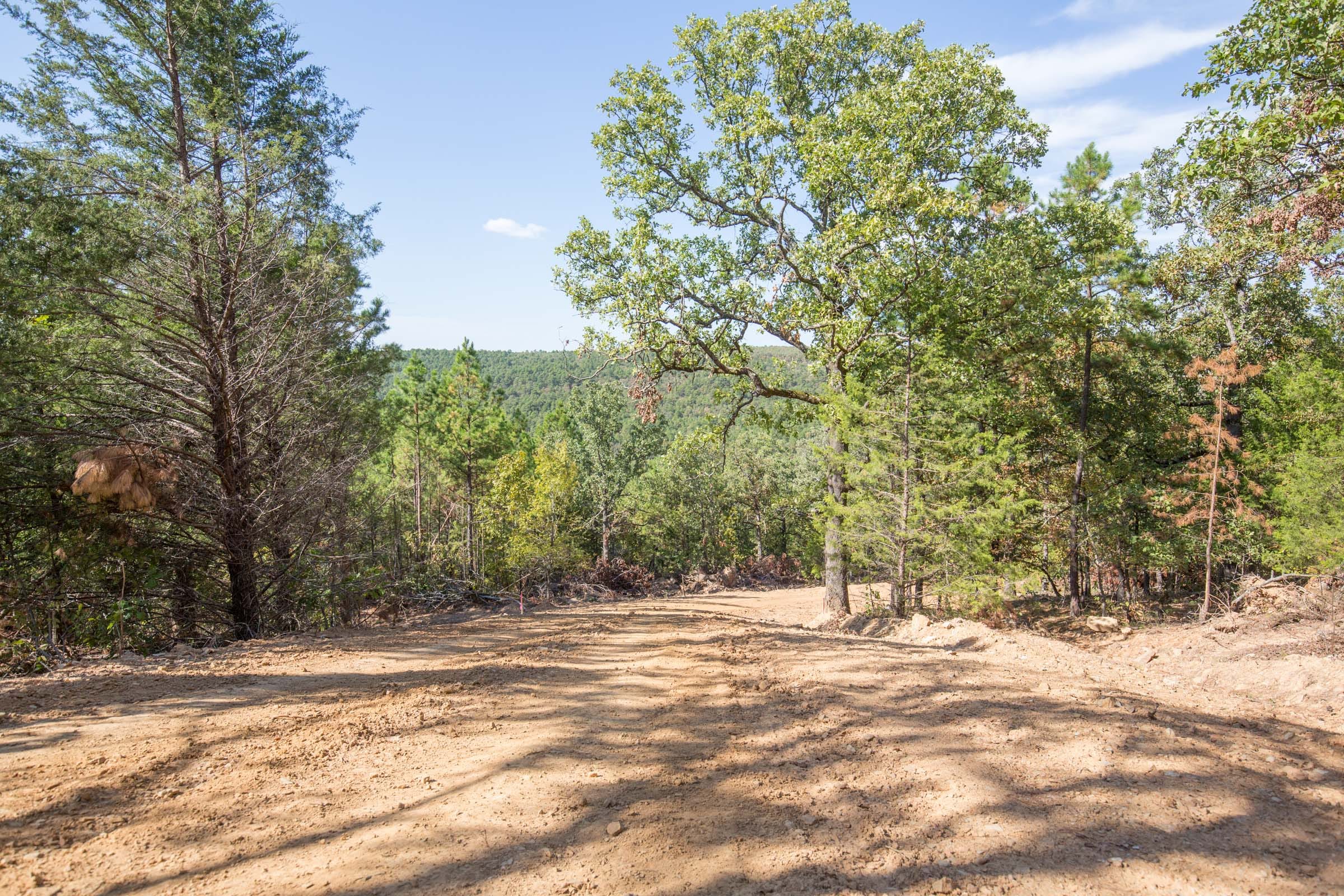 Stone Bridge Phase I Tract 50 photo 1