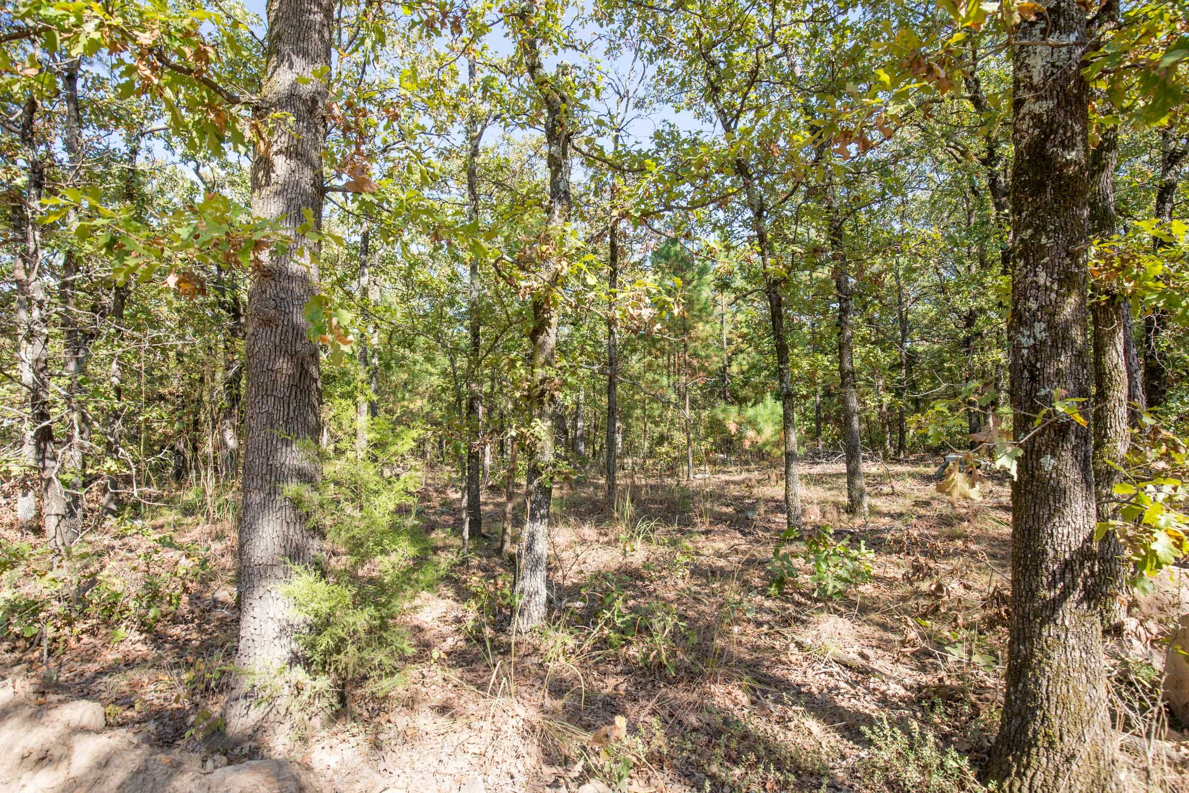 Stone Bridge Phase I Tract 50 photo 8