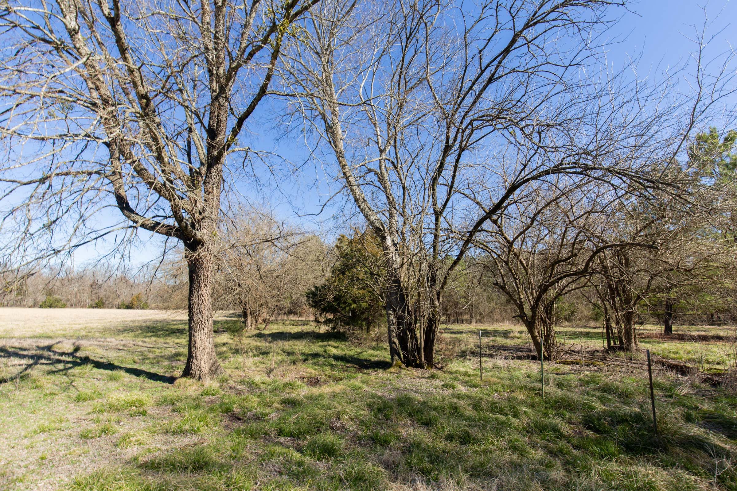 Wishing Star Ranch Tract 2 photo 8