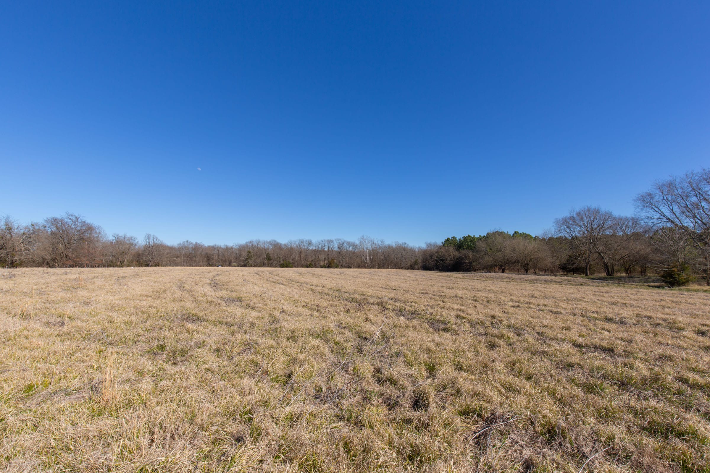 Wishing Star Ranch Tract 2 photo 13