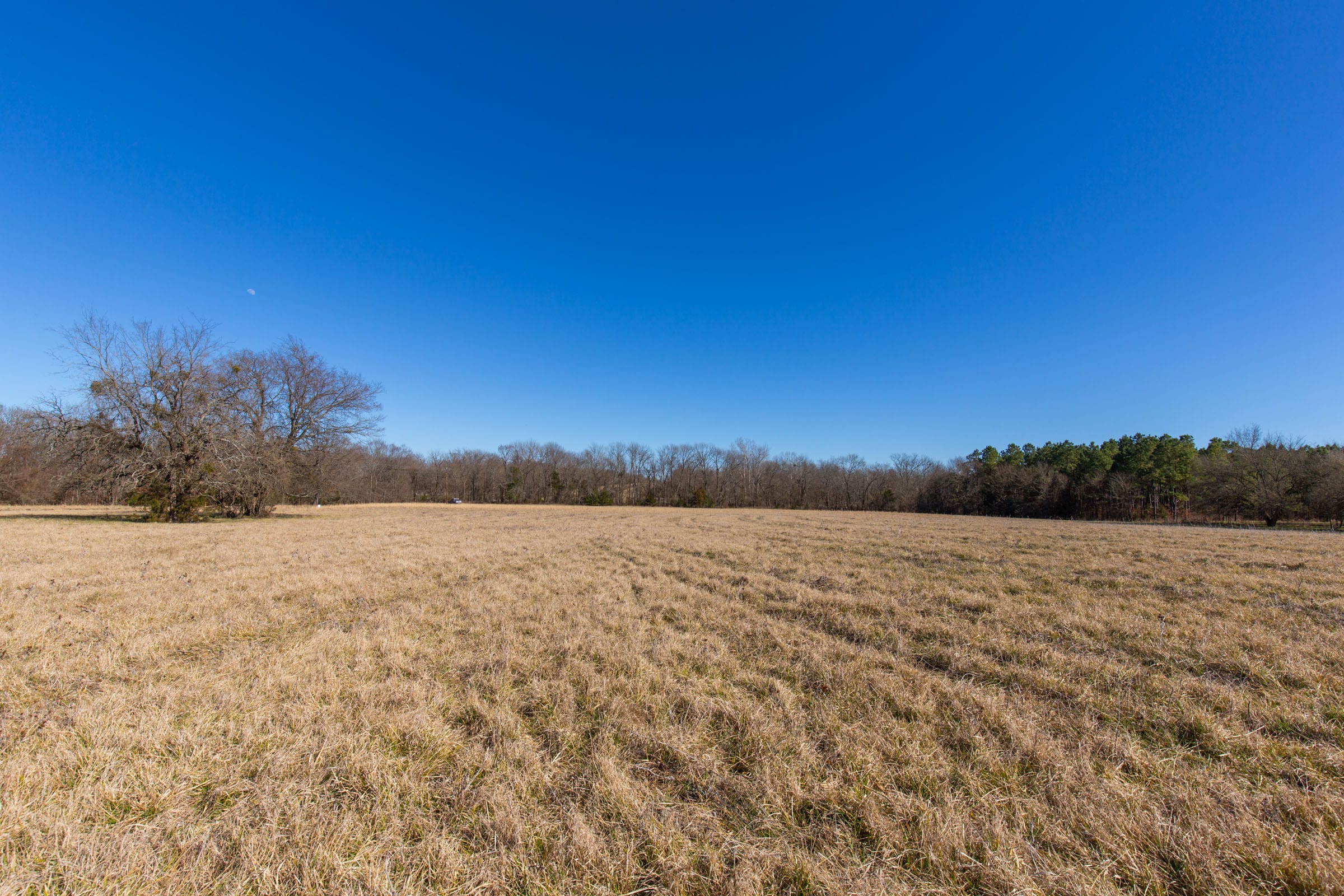 Wishing Star Ranch Tract 2 photo 16