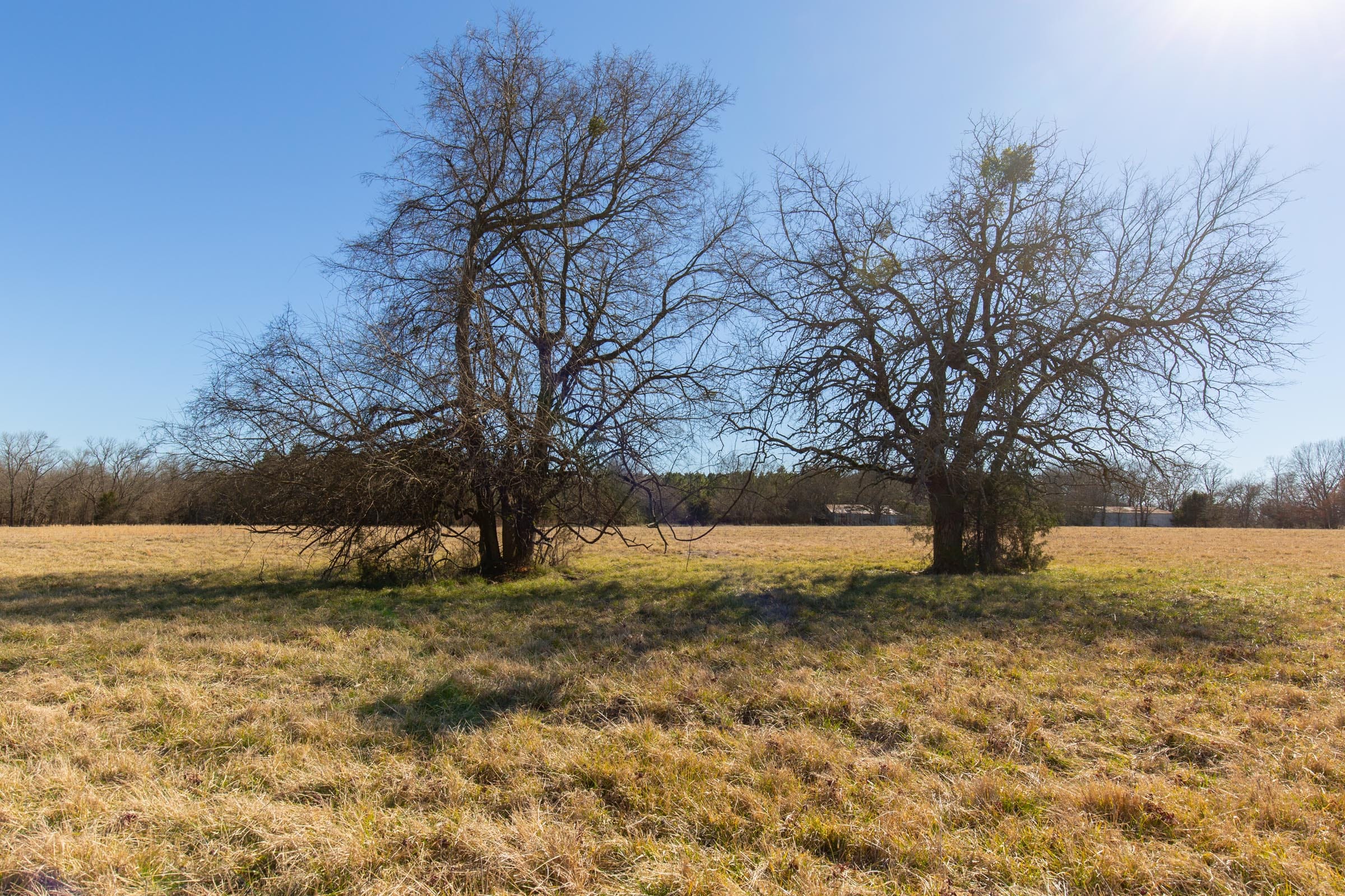 Wishing Star Ranch Tract 2 photo 18