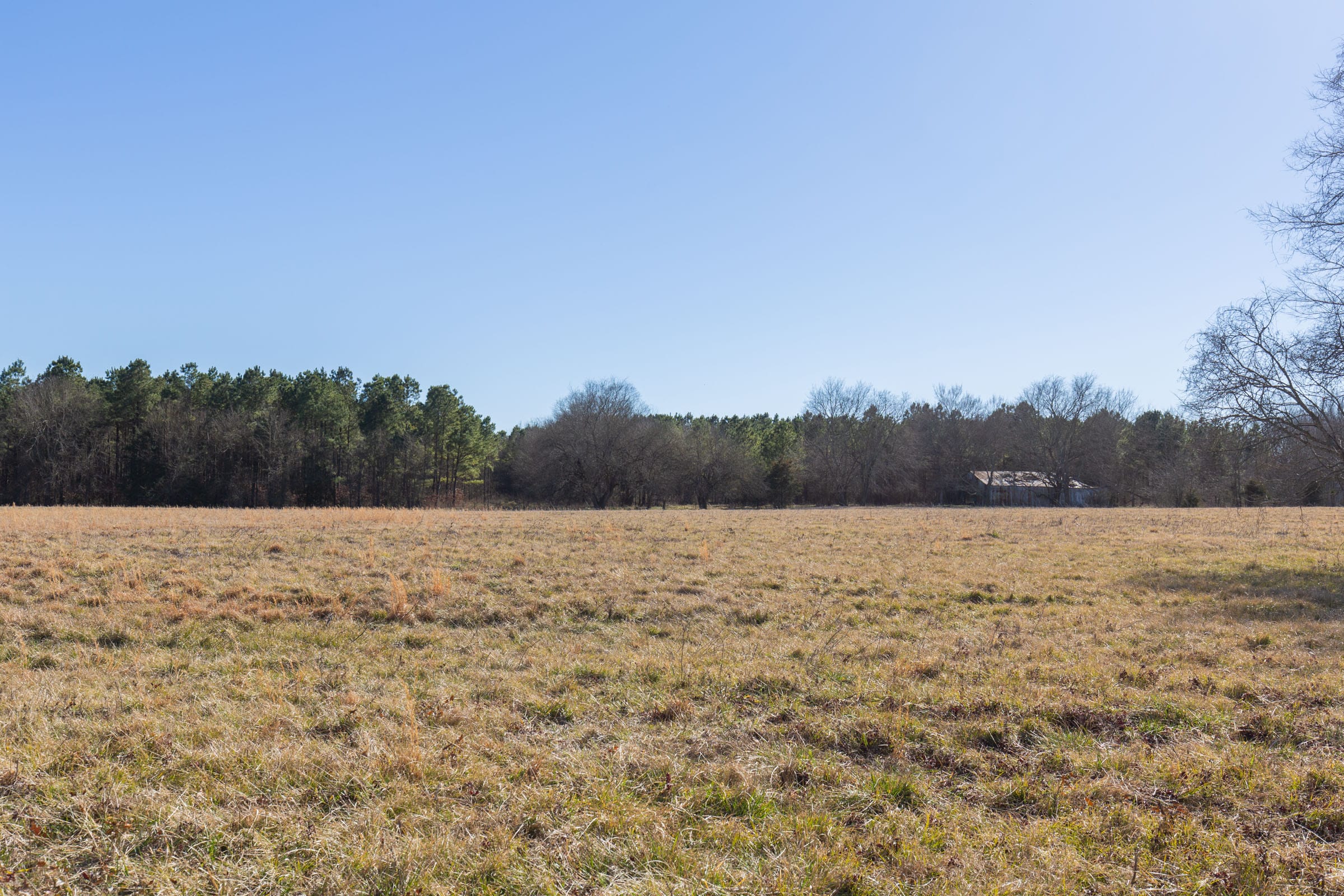 Wishing Star Ranch Tract 2 photo 19