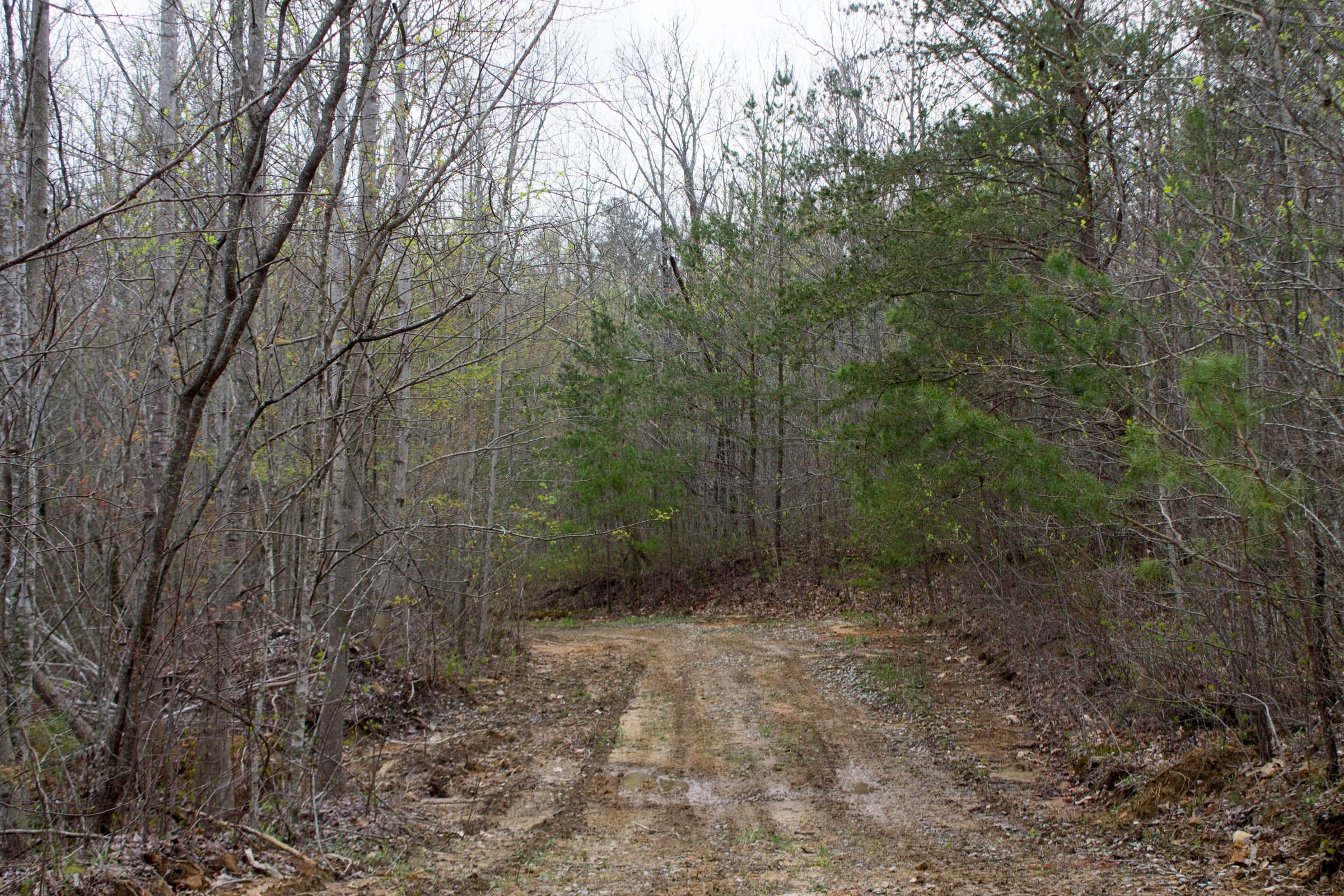 Hidden Hills Tract 1 photo 1