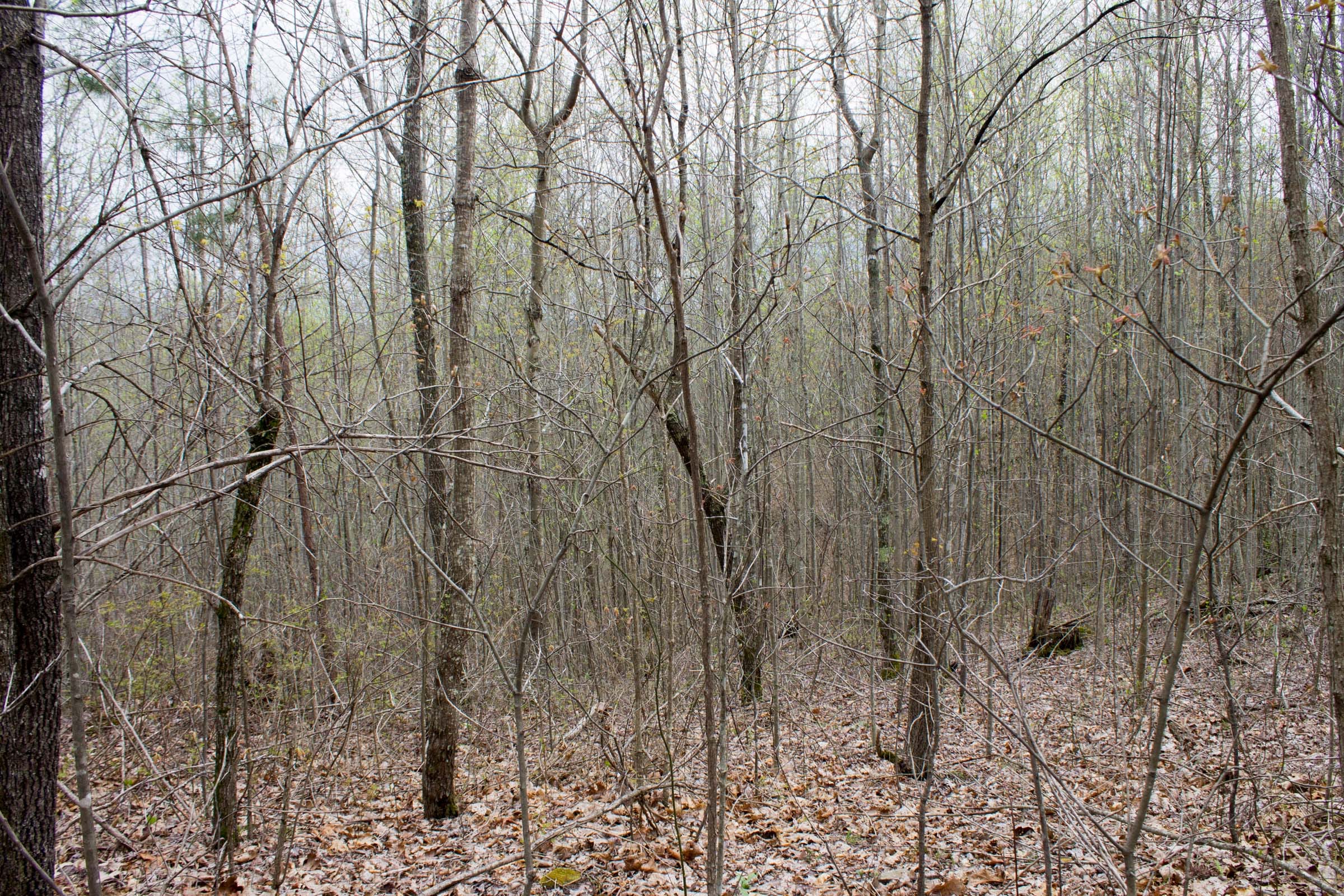 Hidden Hills Tract 1 photo 2
