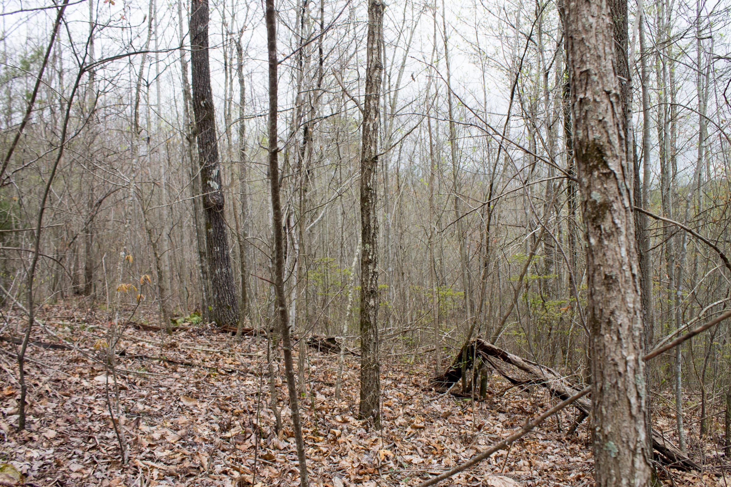 Hidden Hills Tract 1 photo 3