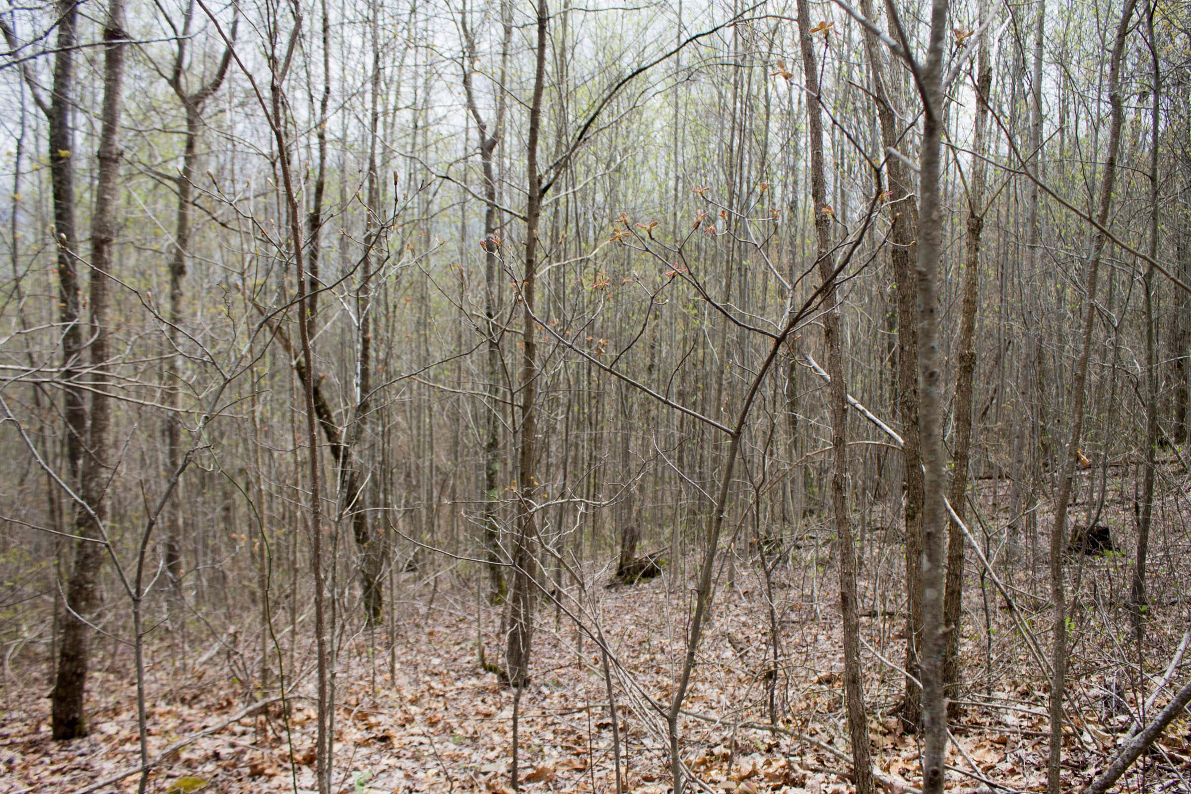 Hidden Hills Tract 1 photo 5