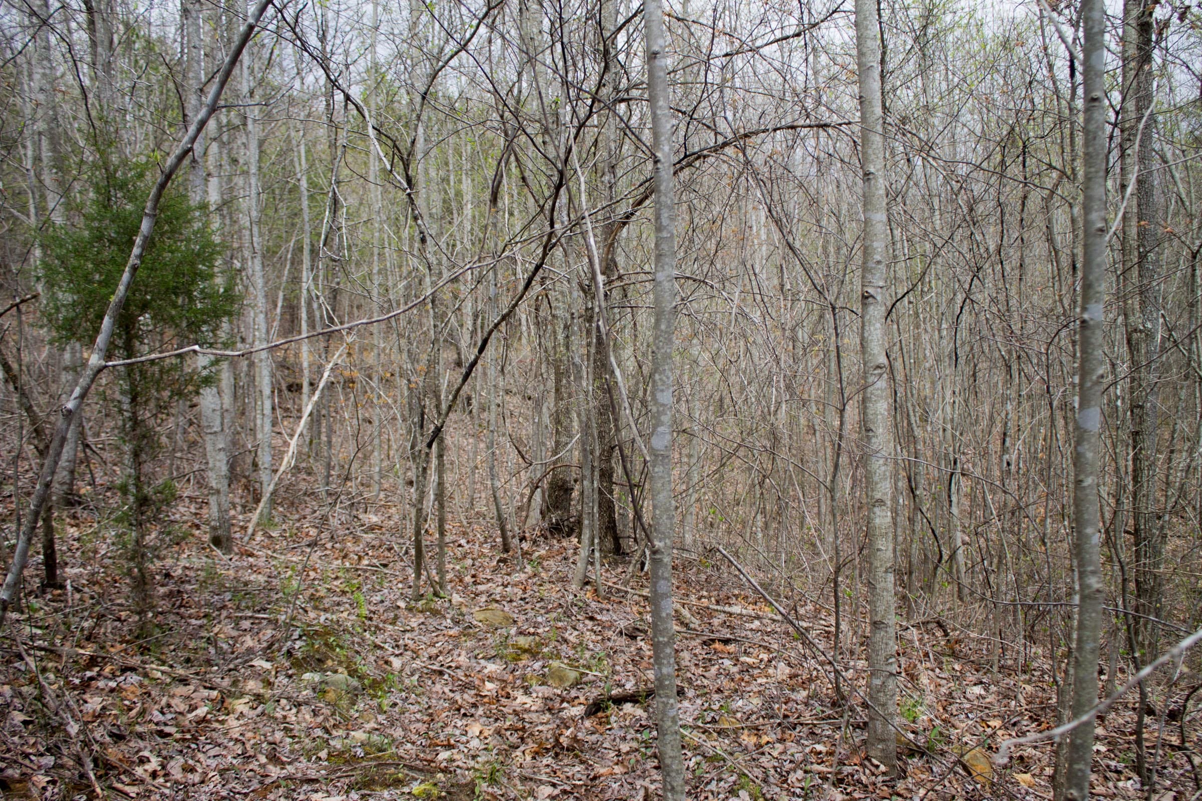 Hidden Hills Tract 1 photo 7