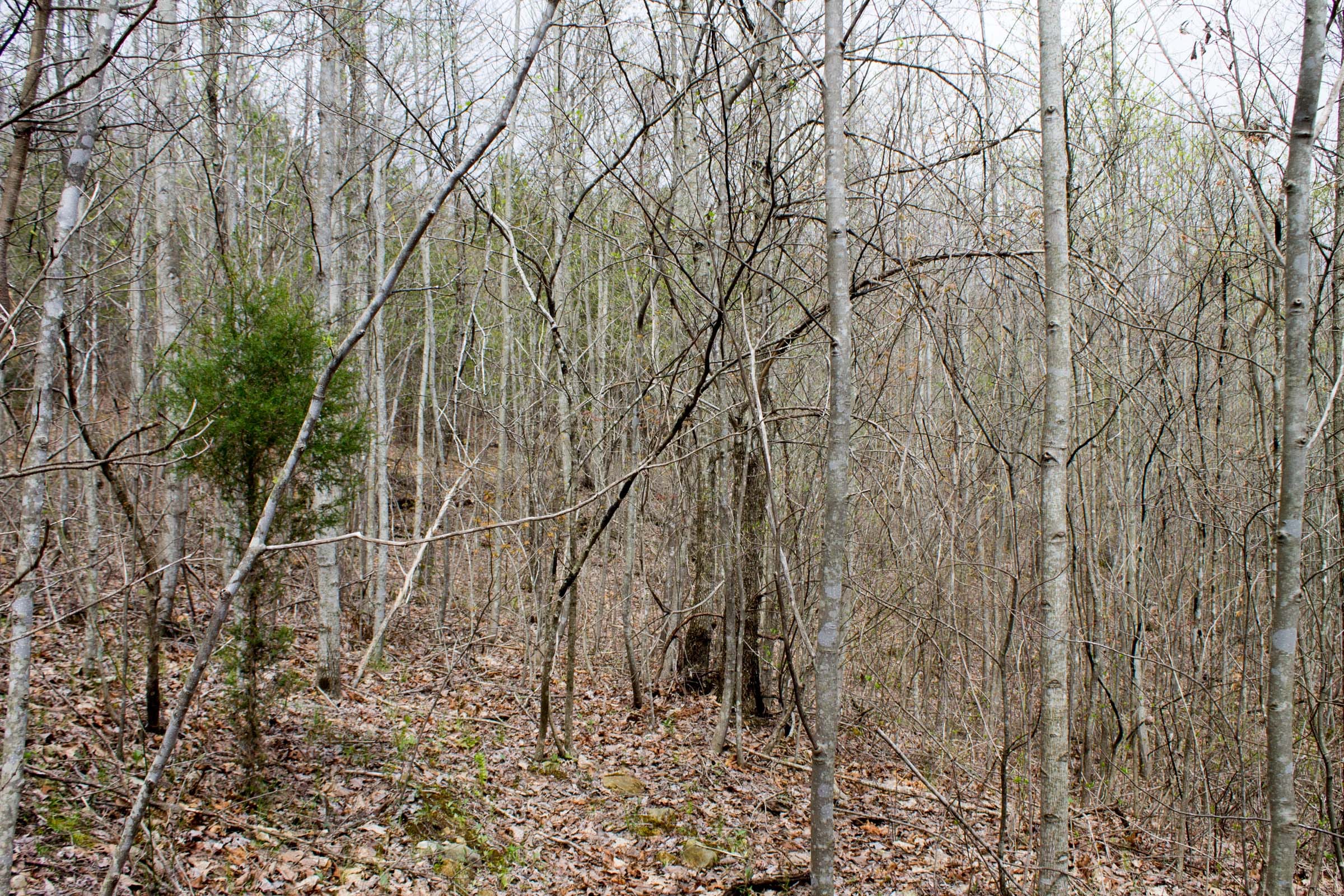 Hidden Hills Tract 1 photo 8