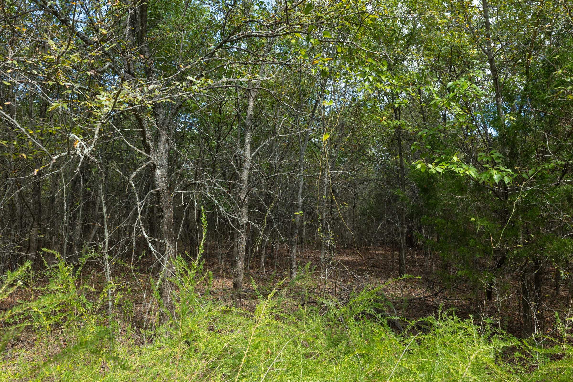 Reserves At Cattail Cove Phase II Tract 98 photo 17