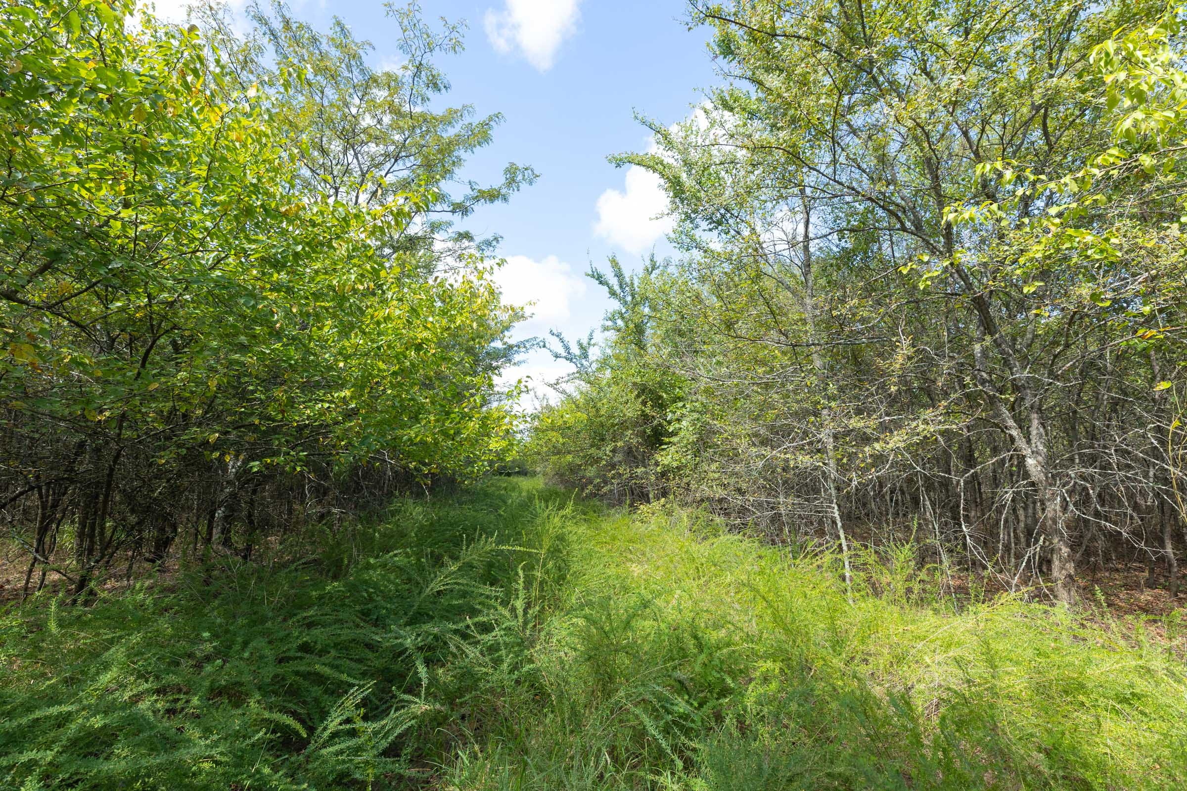 Reserves At Cattail Cove Phase II Tract 98 photo 16