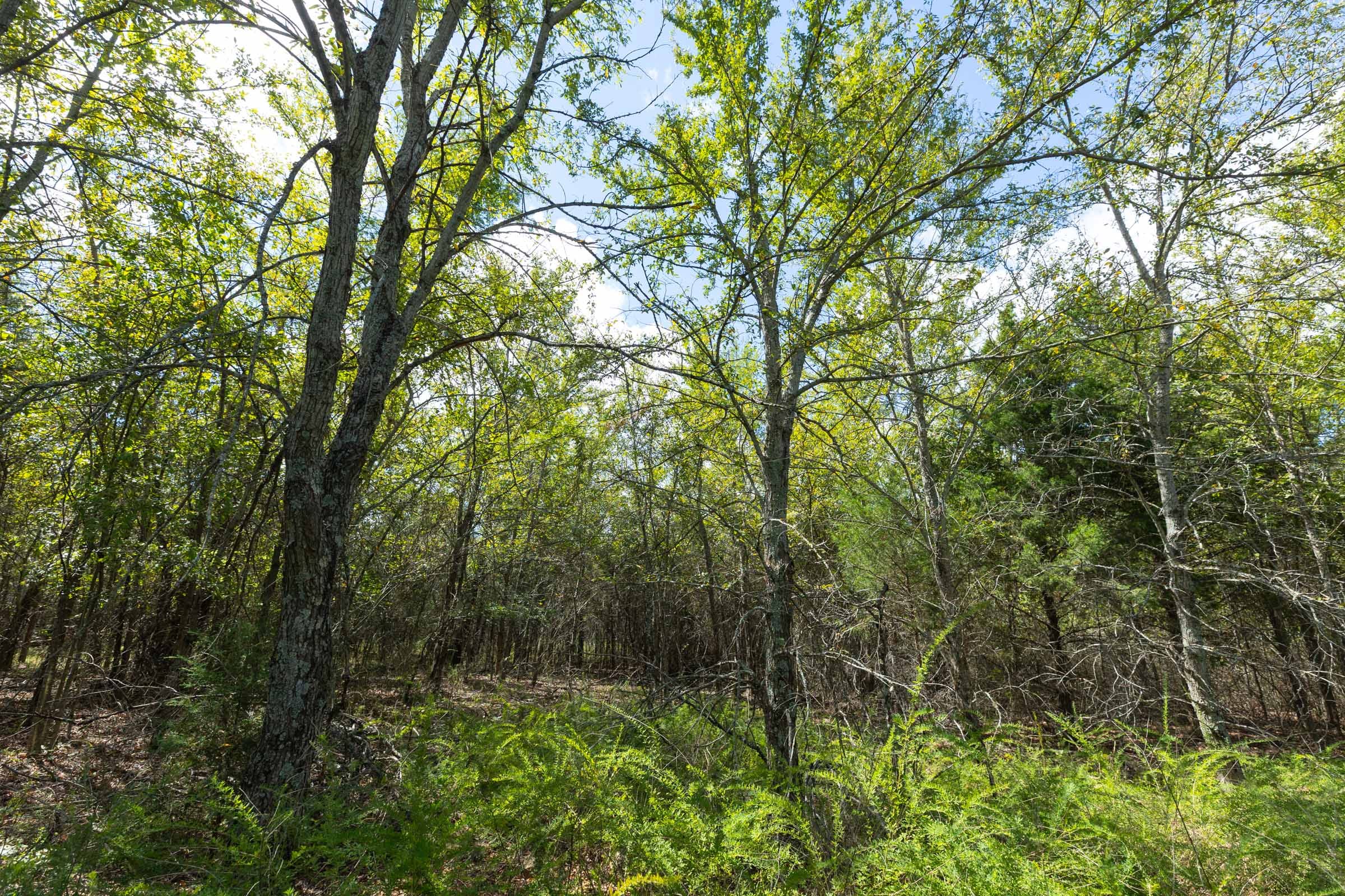 Reserves At Cattail Cove Phase II Tract 98 photo 15